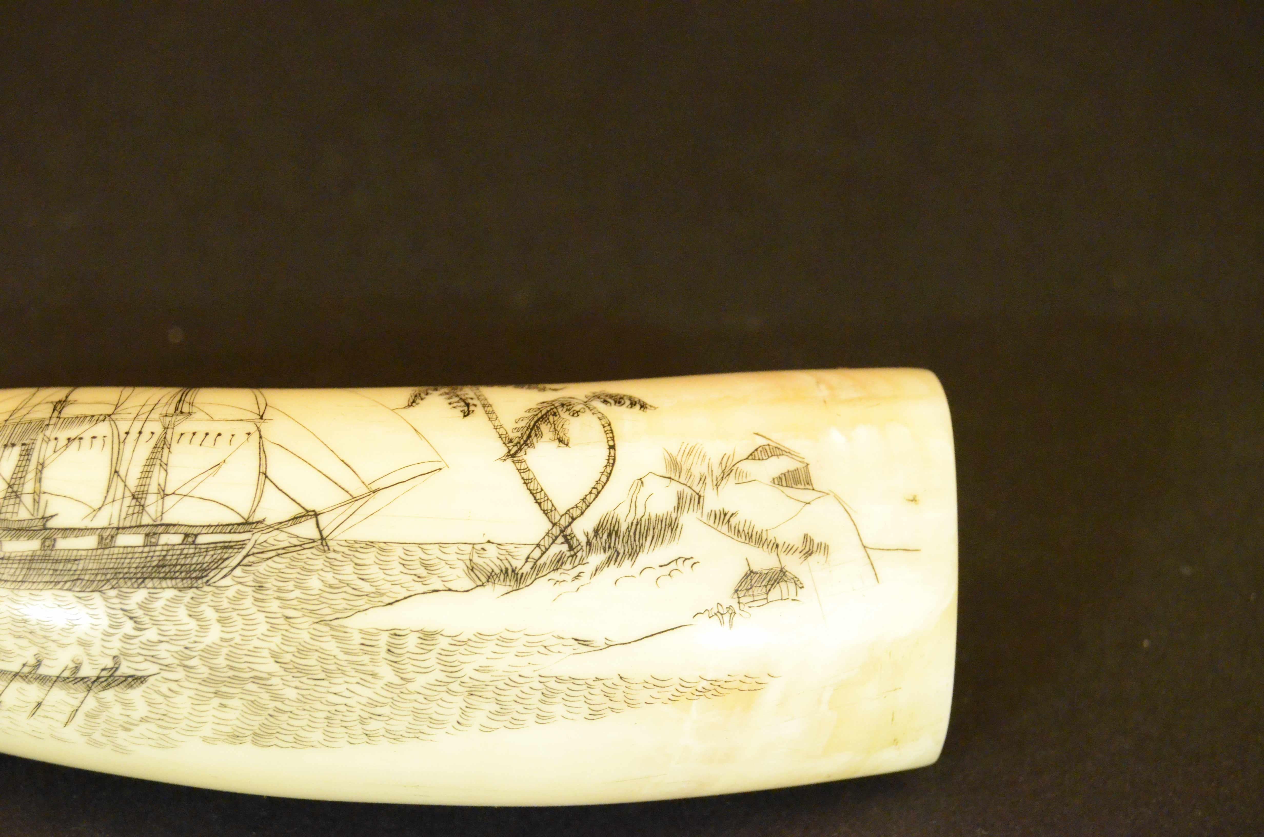 Scrimshaw di un dente di balena inciso, raffigurante  veliero a tre alberi barca a remi con 5 balenieri e piccola isola con palme, rocce e una capanna. Sul retro all’interno di un cartiglio CAP.  RINGOLD SYDNEY e la data 1860.
Buono stato. Misure cm