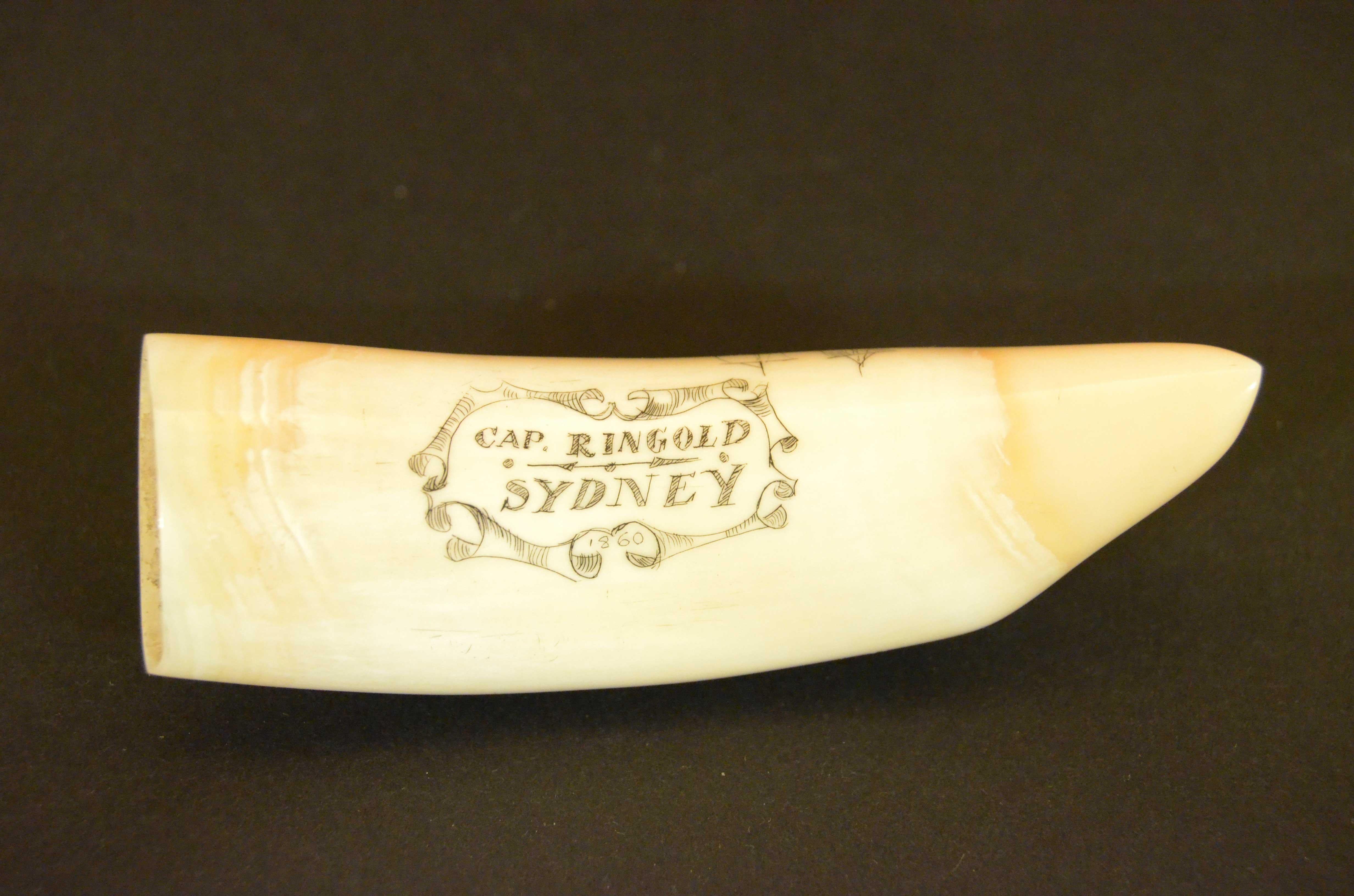 Teeth Scrimshaw di dente di balena inciso con veliero a tre alberi isola capanna palme