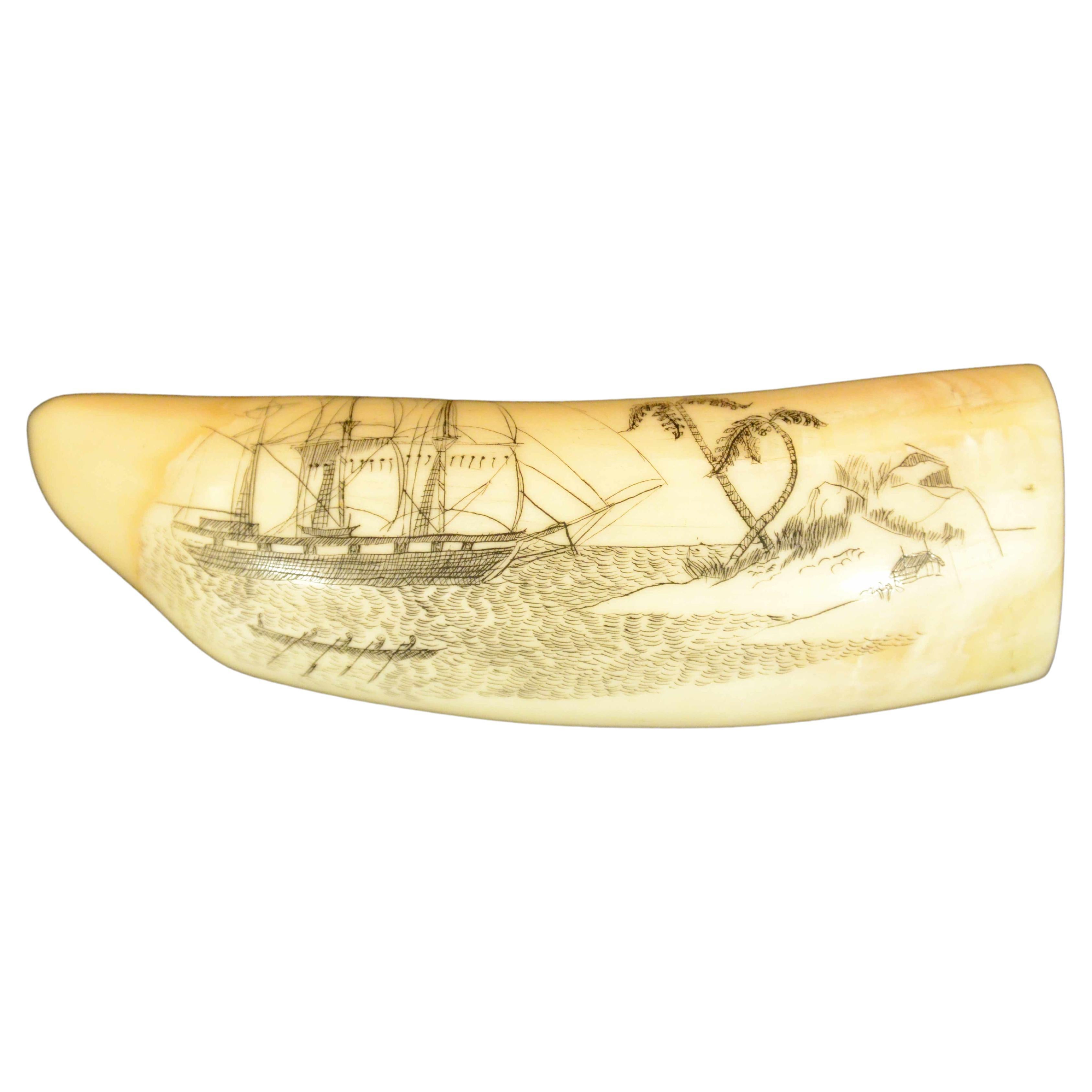 Scrimshaw di dente di balena inciso con veliero a tre alberi isola capanna palme
