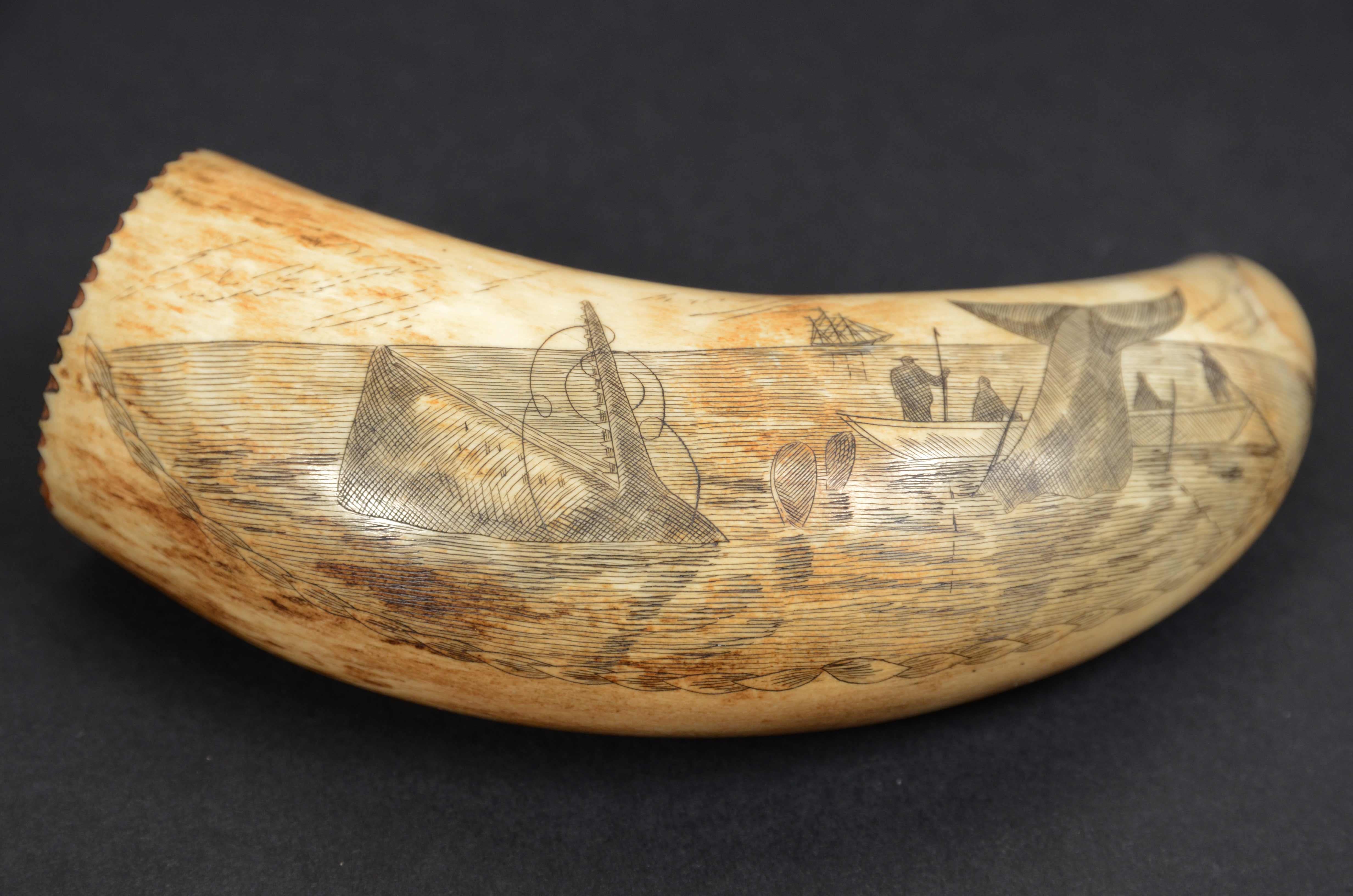 Scrimshaw of an engraved whale tooth dated 1867,  depicting whaling scene with whaler in the background, rowboat with 4 whalers and whale with  the bowstring twisted between the teeth of the jaw.  
On the back is the following inscription: Sperm
