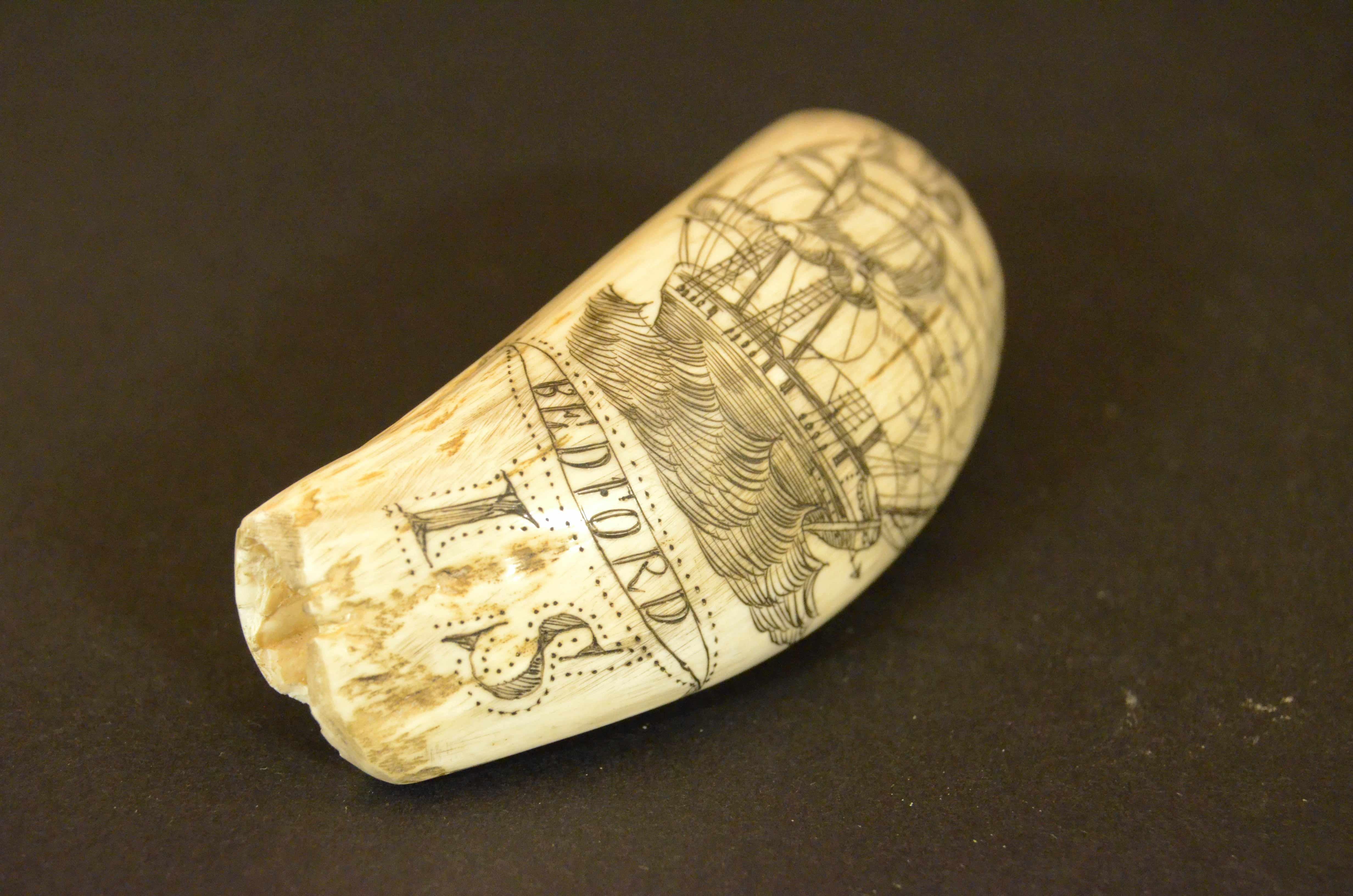 Scrimshaw of whale tooth engraved front sailing ship on the back the whaler Jack For Sale 5