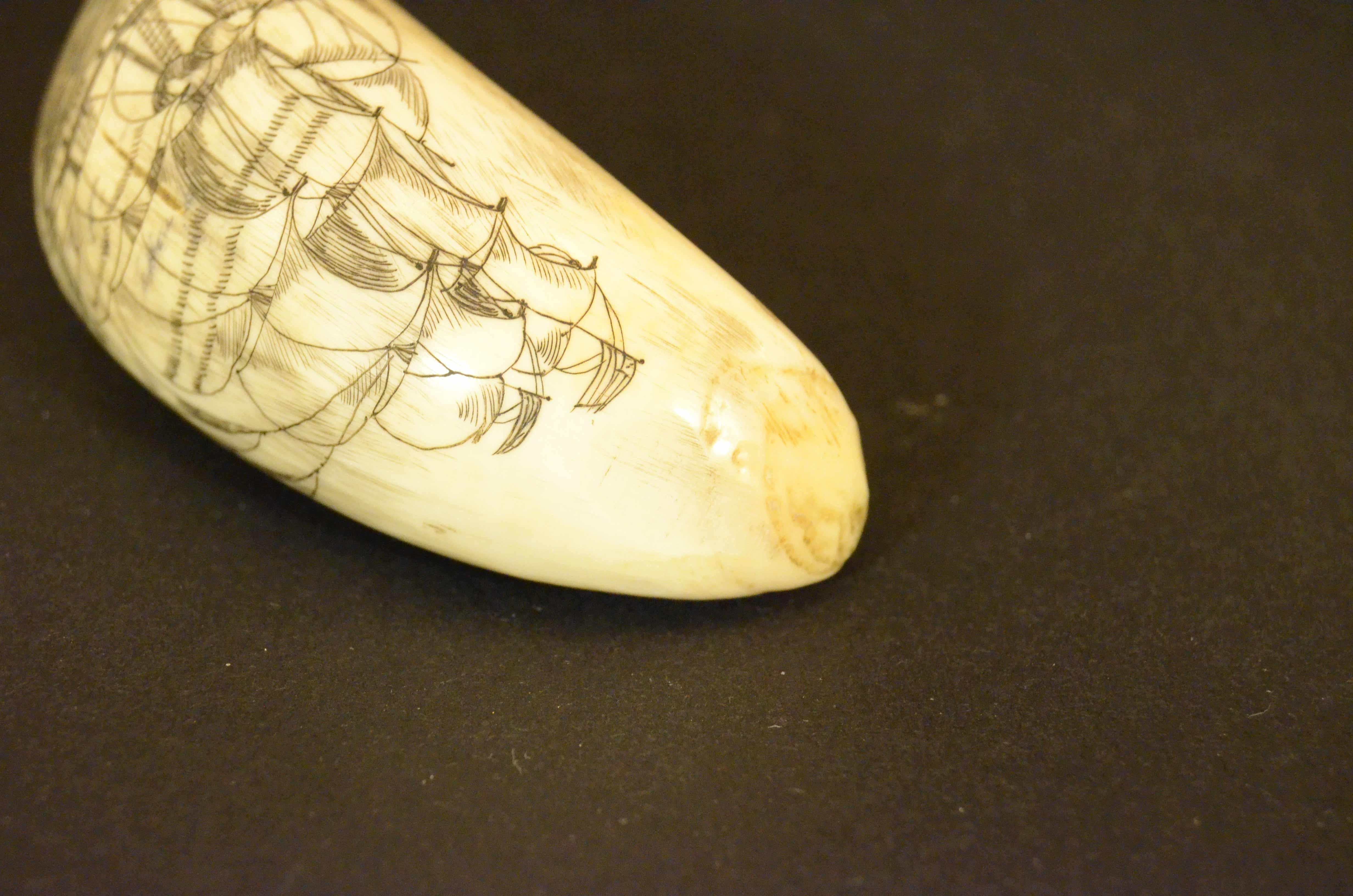 Scrimshaw of whale tooth engraved front sailing ship on the back the whaler Jack For Sale 6