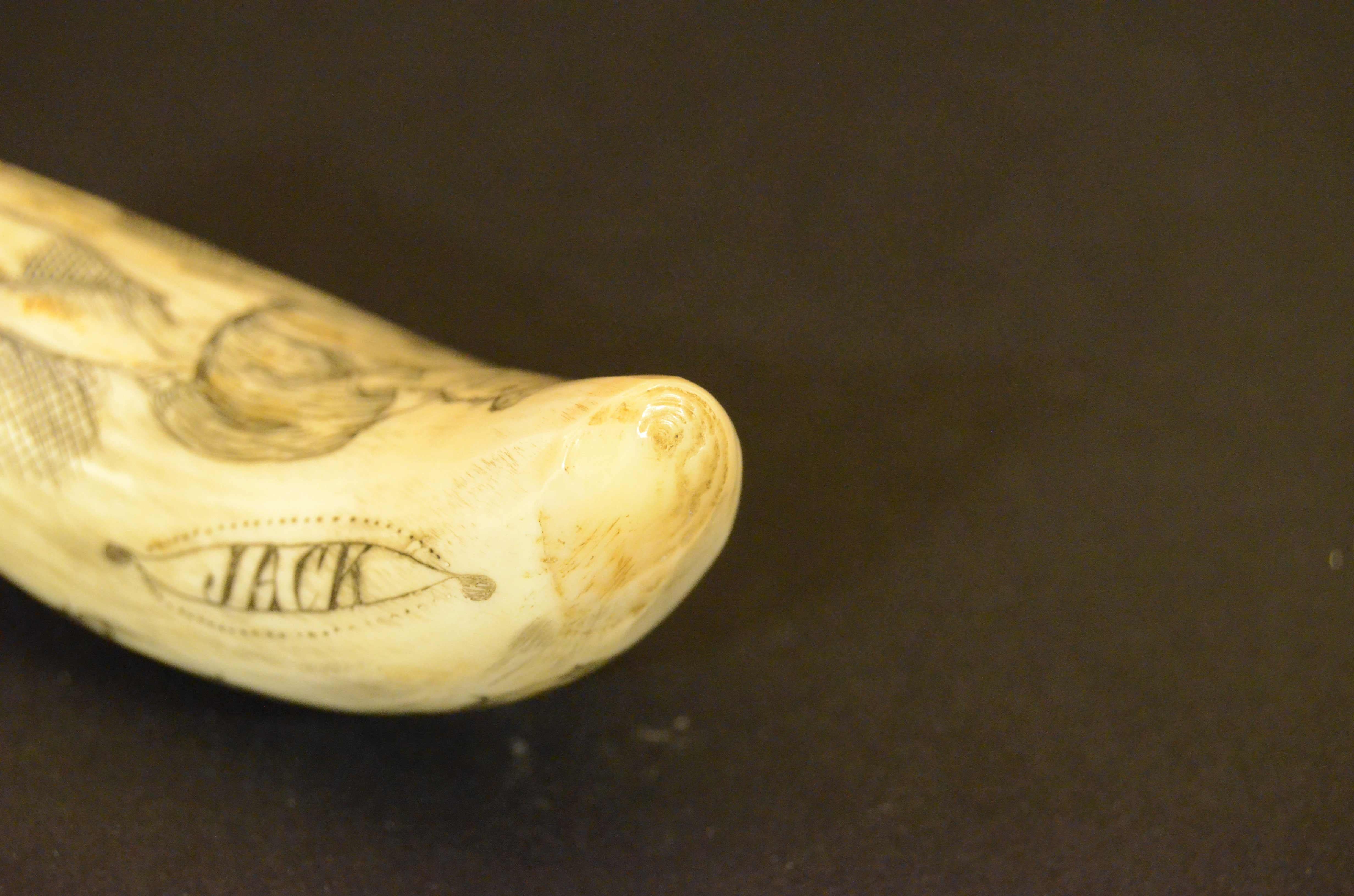 Scrimshaw of whale tooth engraved front sailing ship on the back the whaler Jack For Sale 7