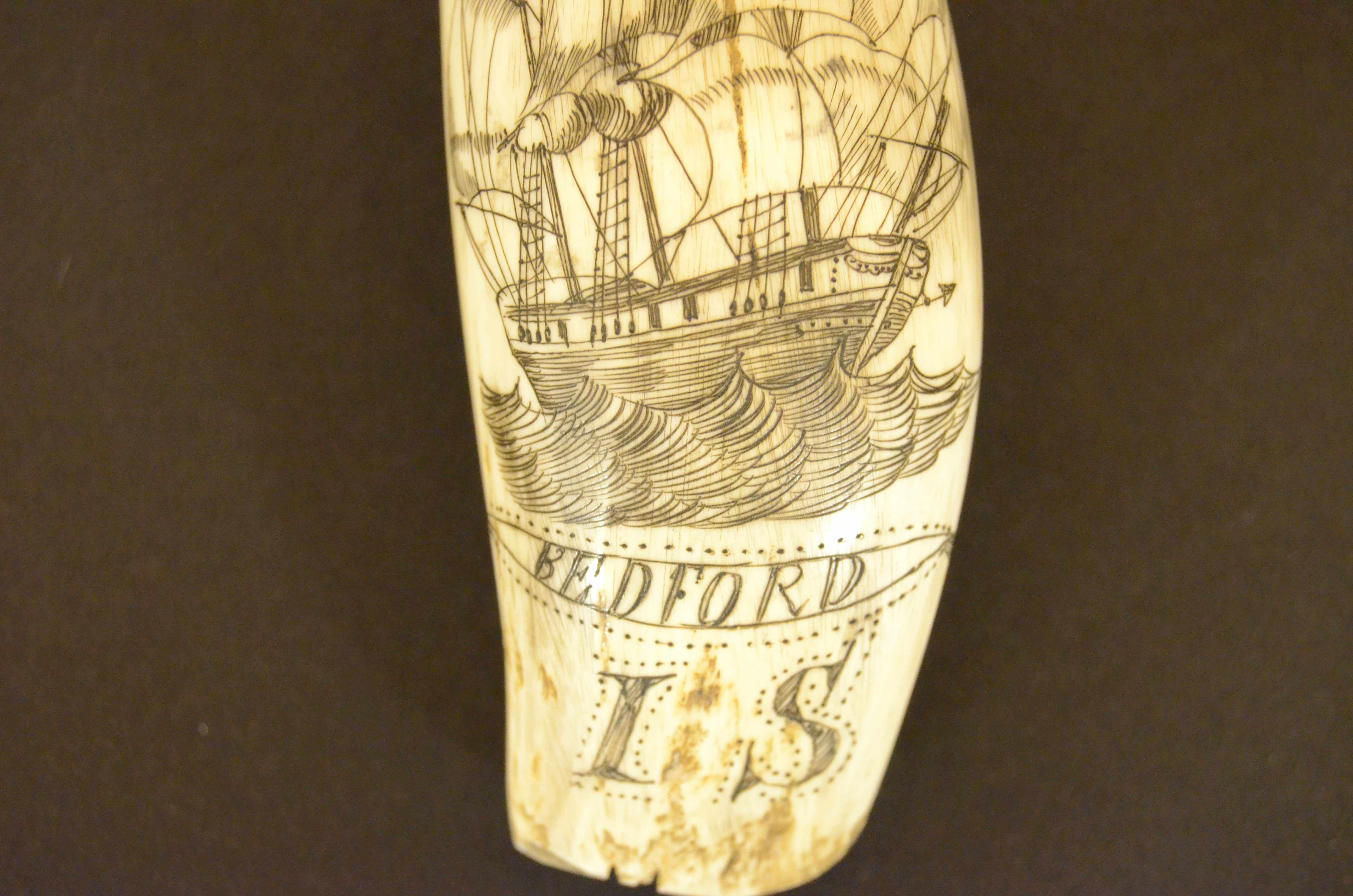 Scrimshaw of an engraved whale's tooth, on one side sailing ship with sails unfurled and underneath the name BEDFORD and the initials L S.  On the back is the figure of a young whaler with a handsome face, hat on his head and spear on his shoulder,