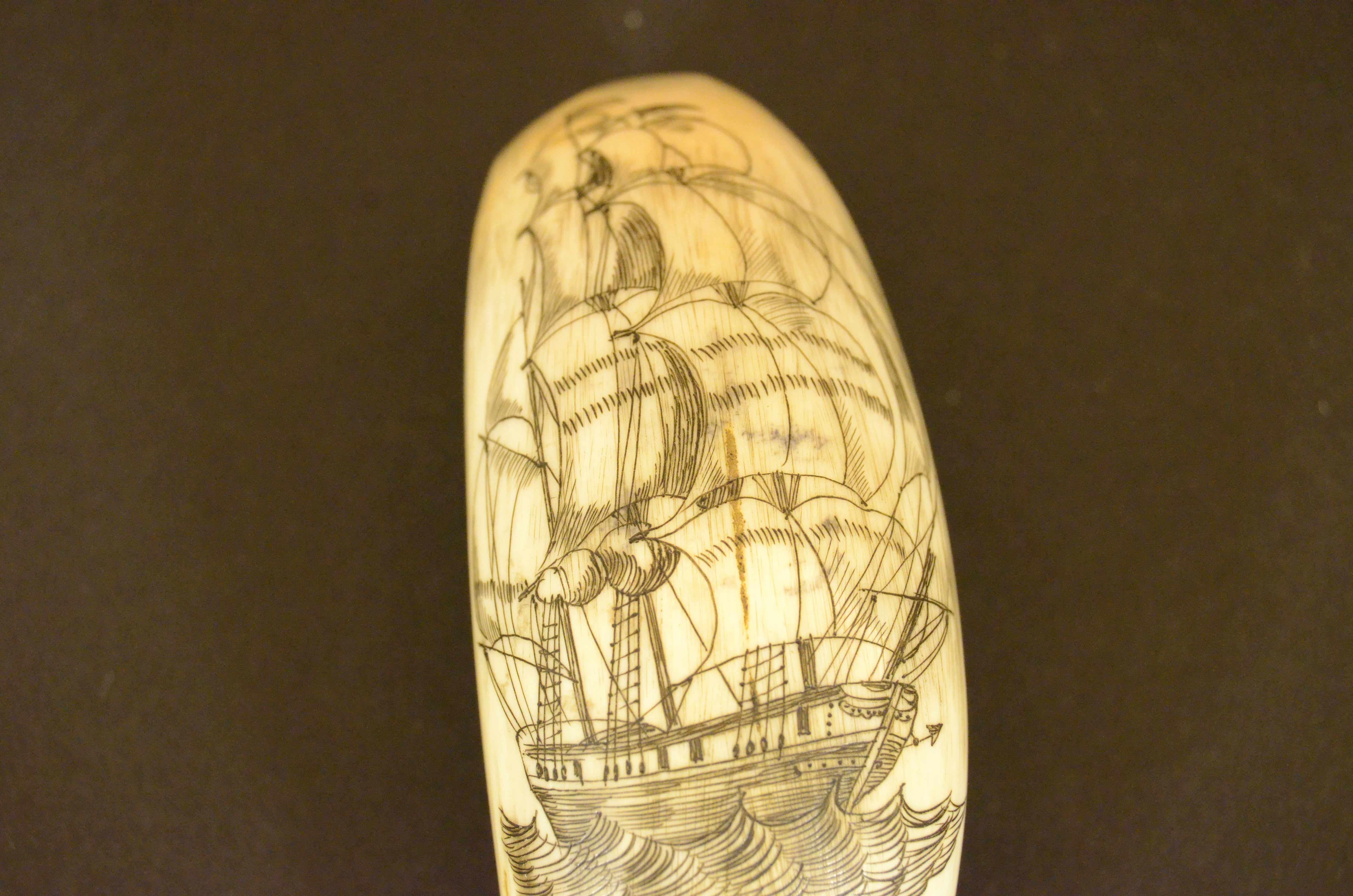 Scrimshaw of whale tooth engraved front sailing ship on the back the whaler Jack In Good Condition For Sale In Milan, IT