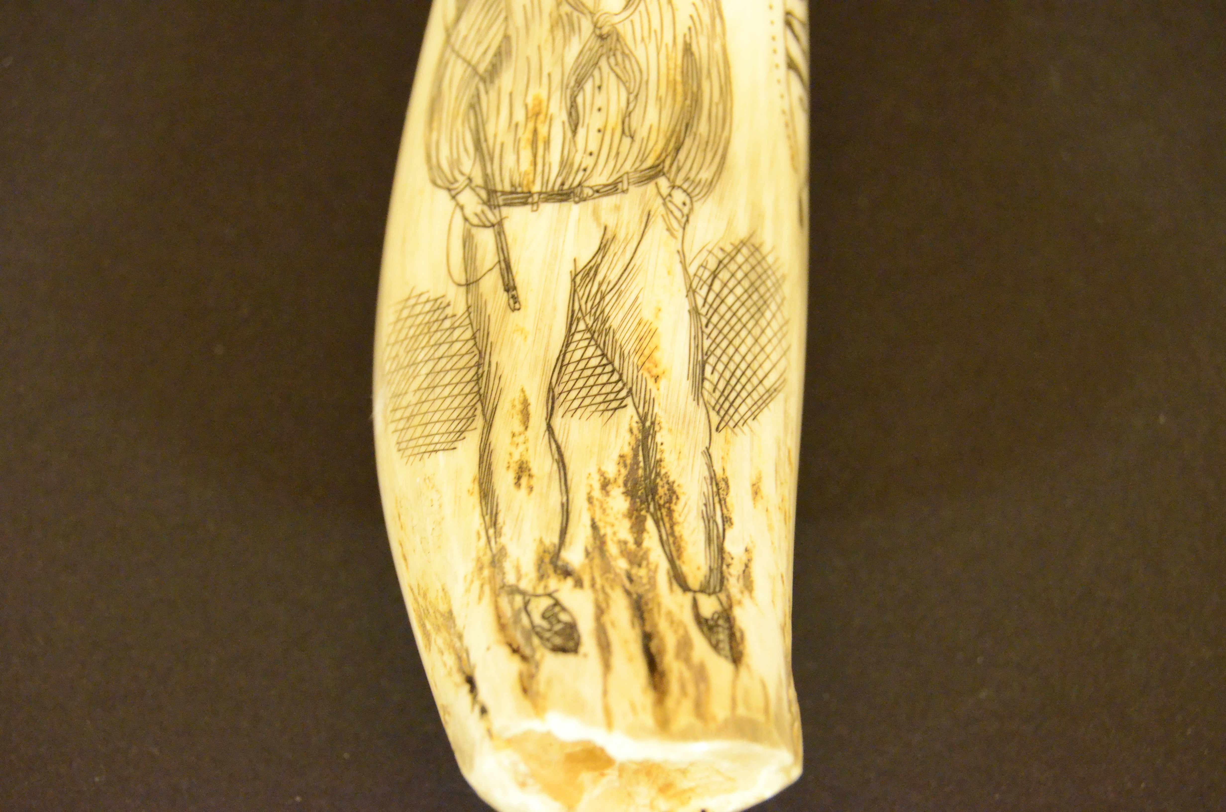 Teeth Scrimshaw of whale tooth engraved front sailing ship on the back the whaler Jack For Sale