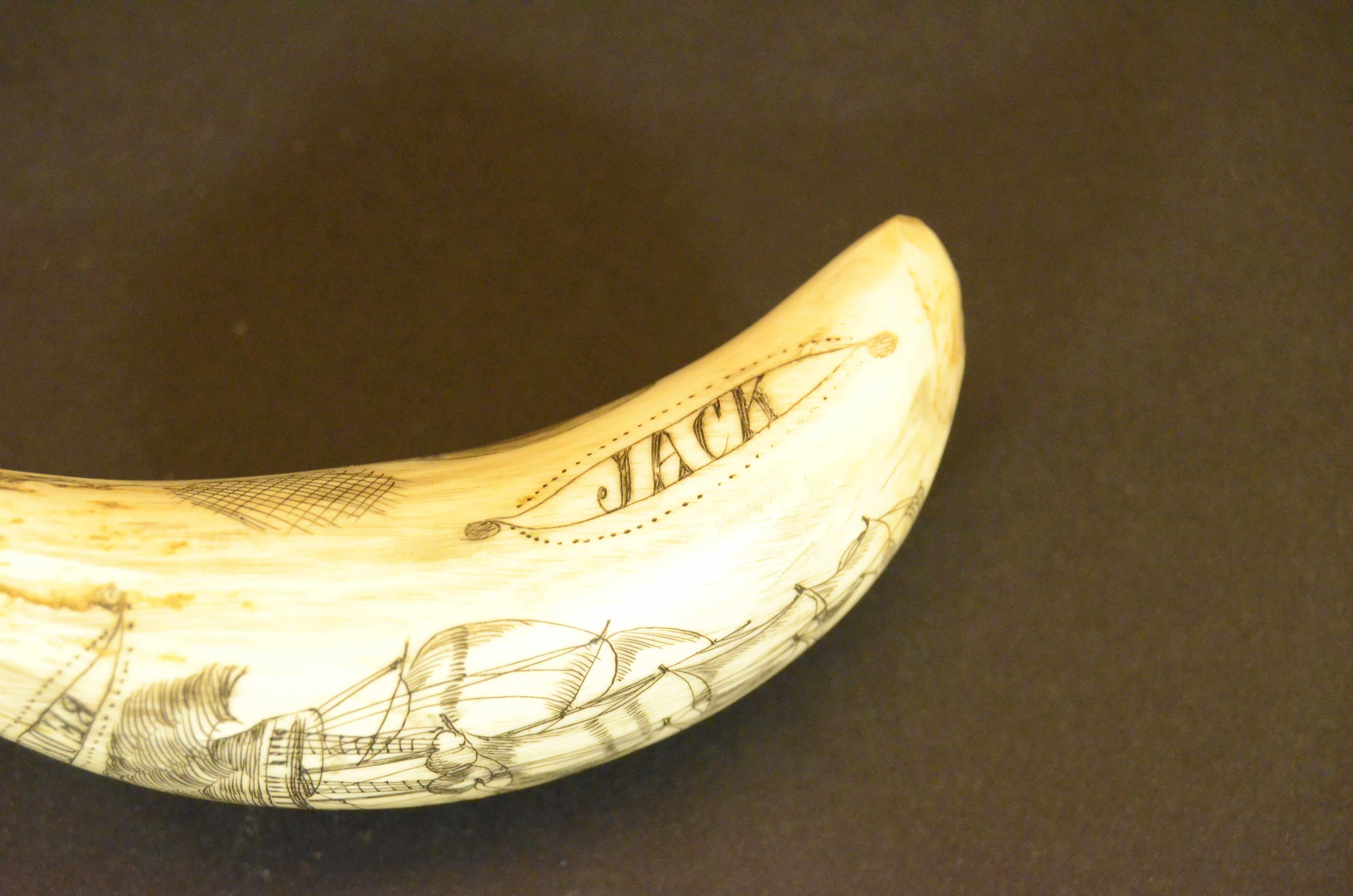 Scrimshaw of whale tooth engraved front sailing ship on the back the whaler Jack For Sale 3