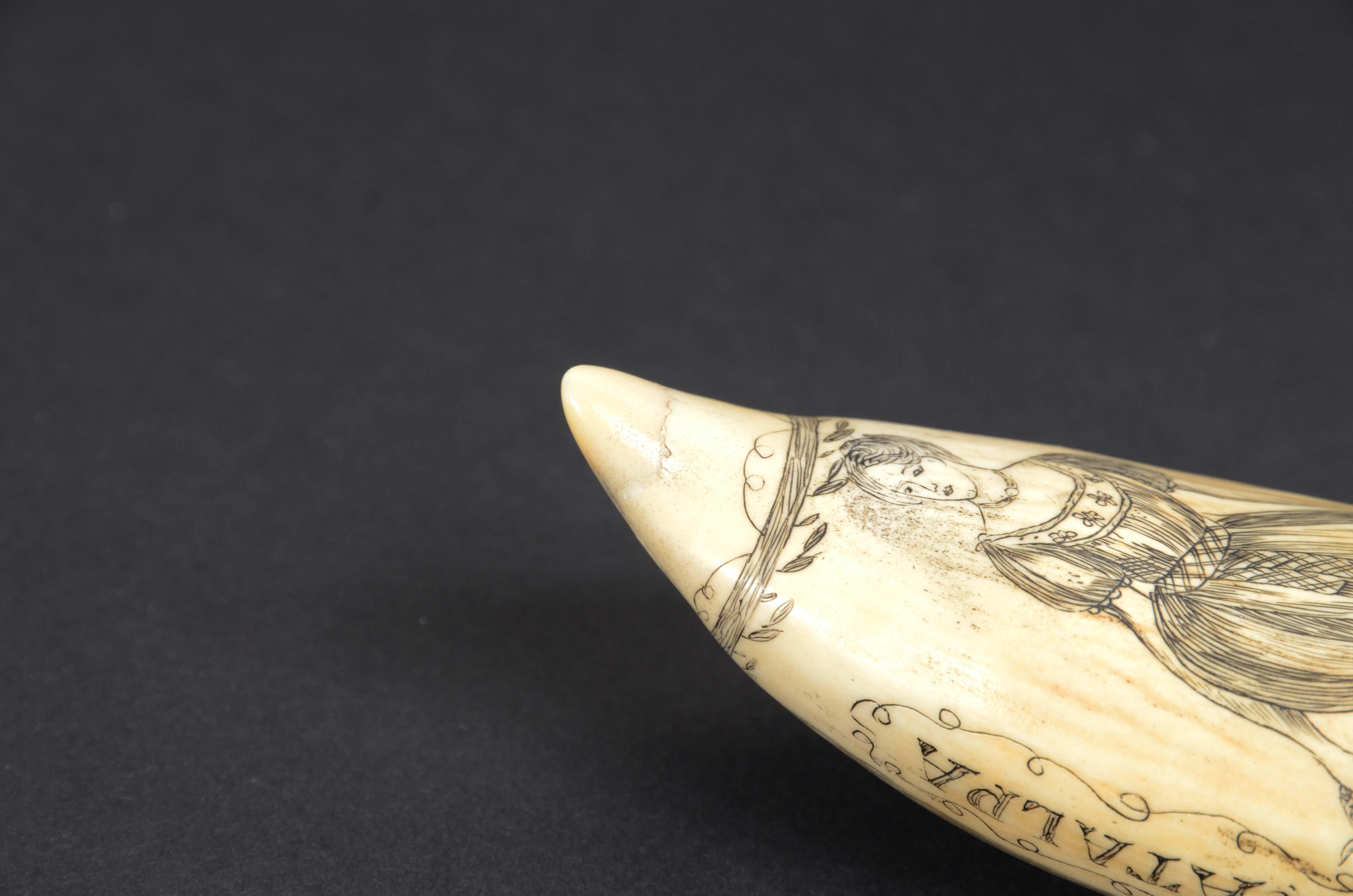 Scrimshaw of excellently made engraved whale's tooth dated around 1850 For Sale 5