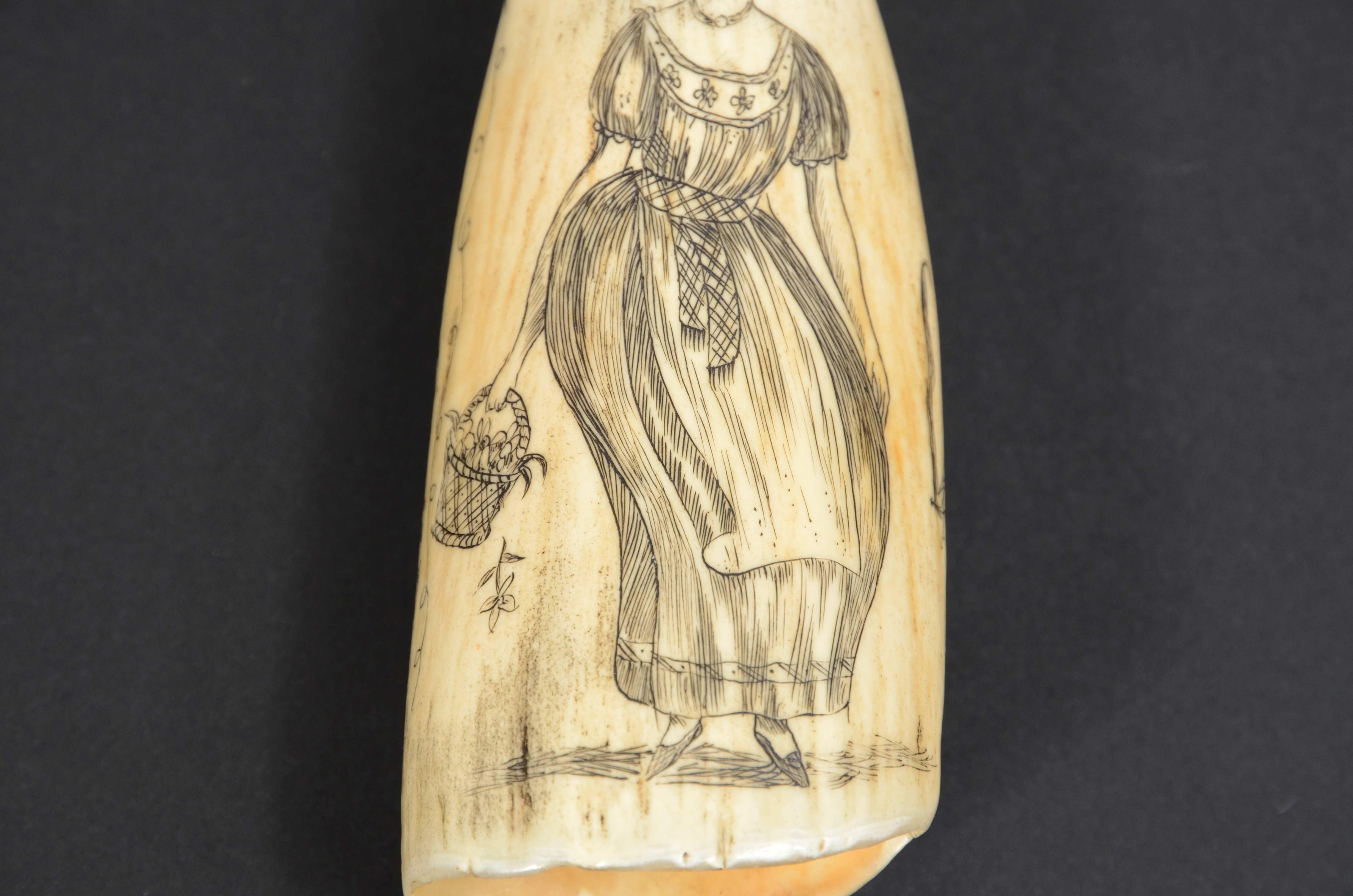 Scrimshaw of excellently made engraved whale's tooth dated around 1850 For Sale 7