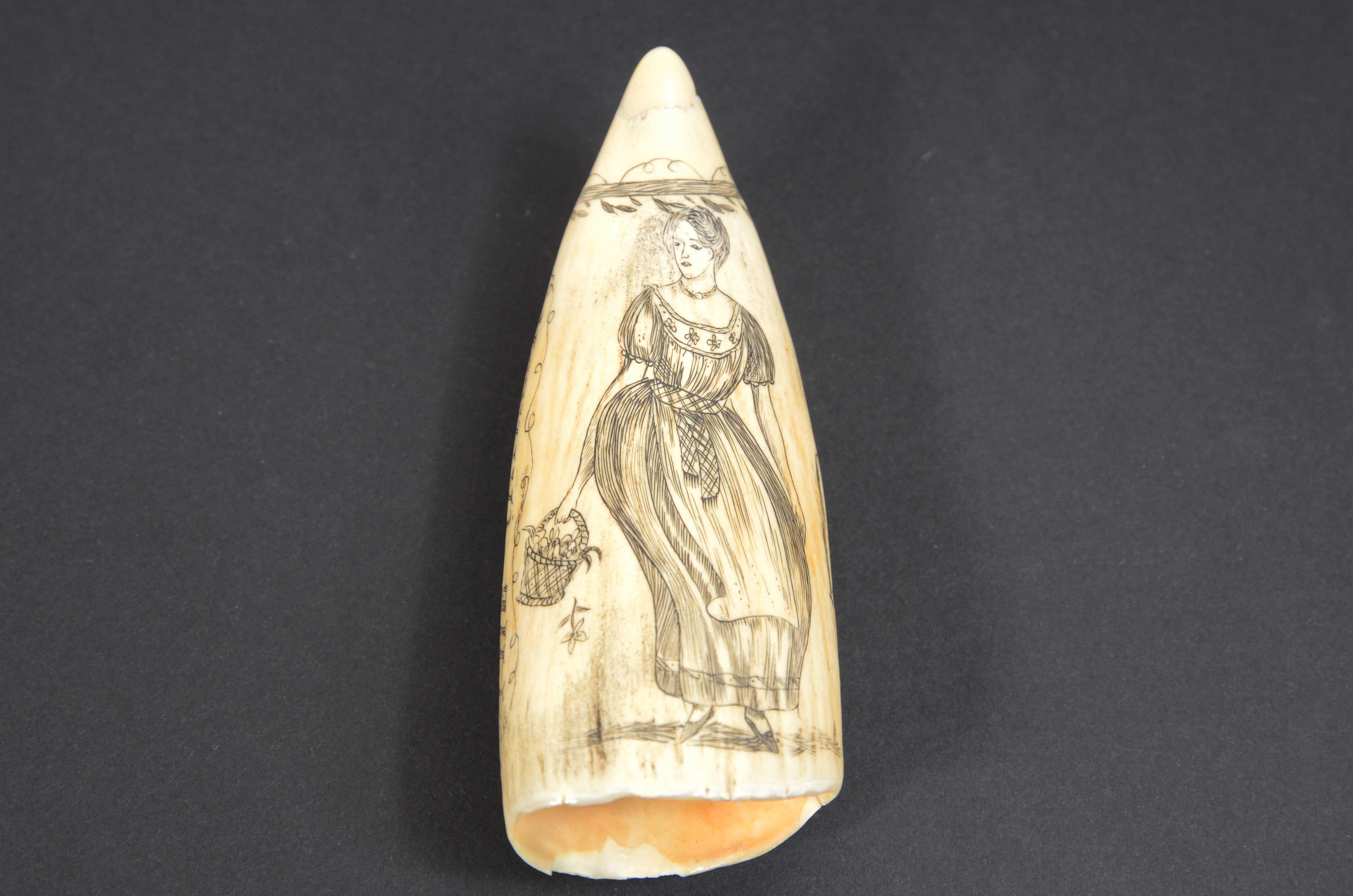 Scrimshaw eines gravierten Walzahns von hervorragender Qualität, datiert um die Mitte des 19. Jahrhunderts, mit der Darstellung eines Schiffes mit vollen Segeln unter Segel, auf der Rückseite eine Dame in einem langen Kleid mit in  einen Korb mit