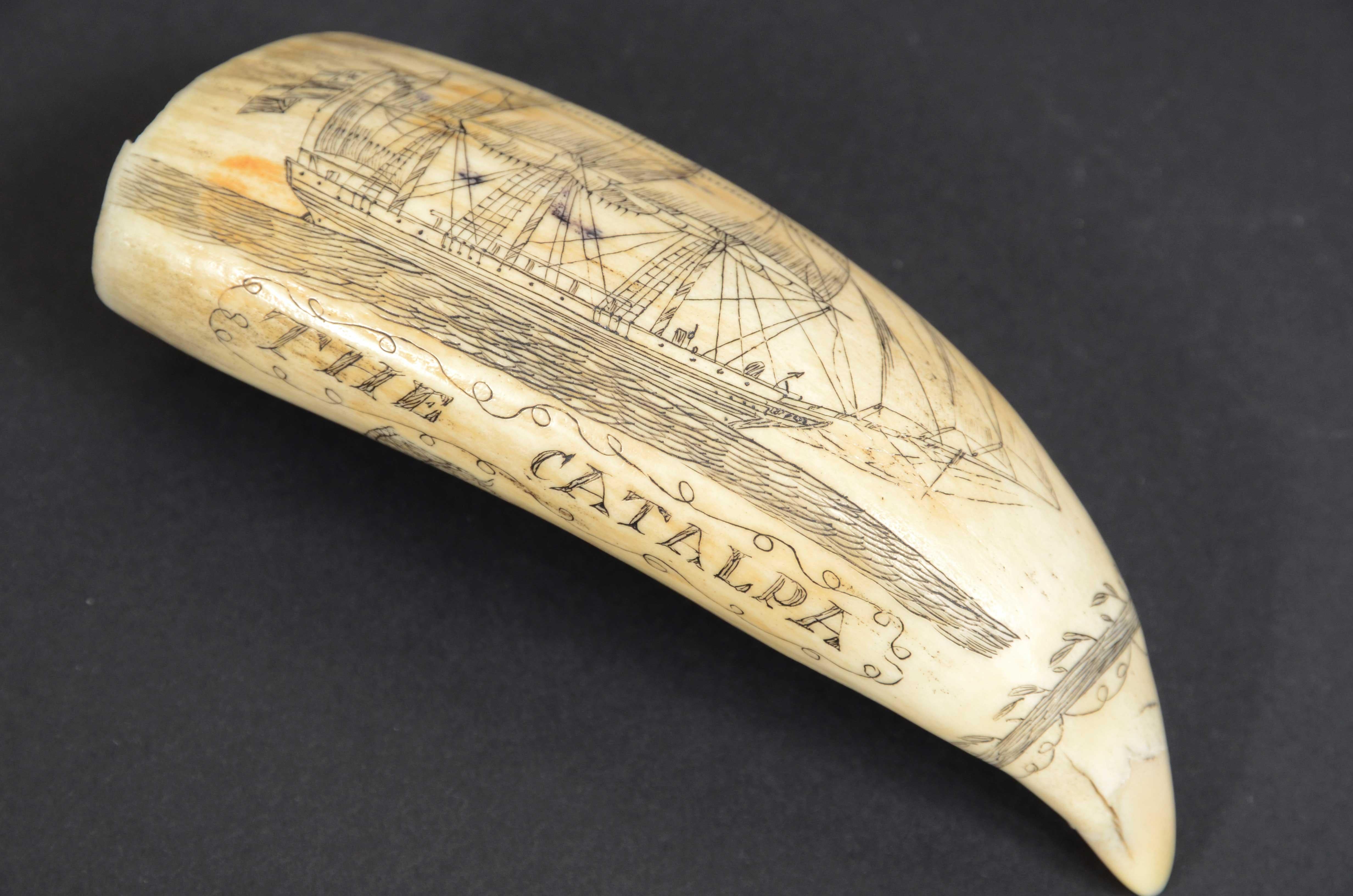19th Century Scrimshaw of excellently made engraved whale's tooth dated around 1850 For Sale