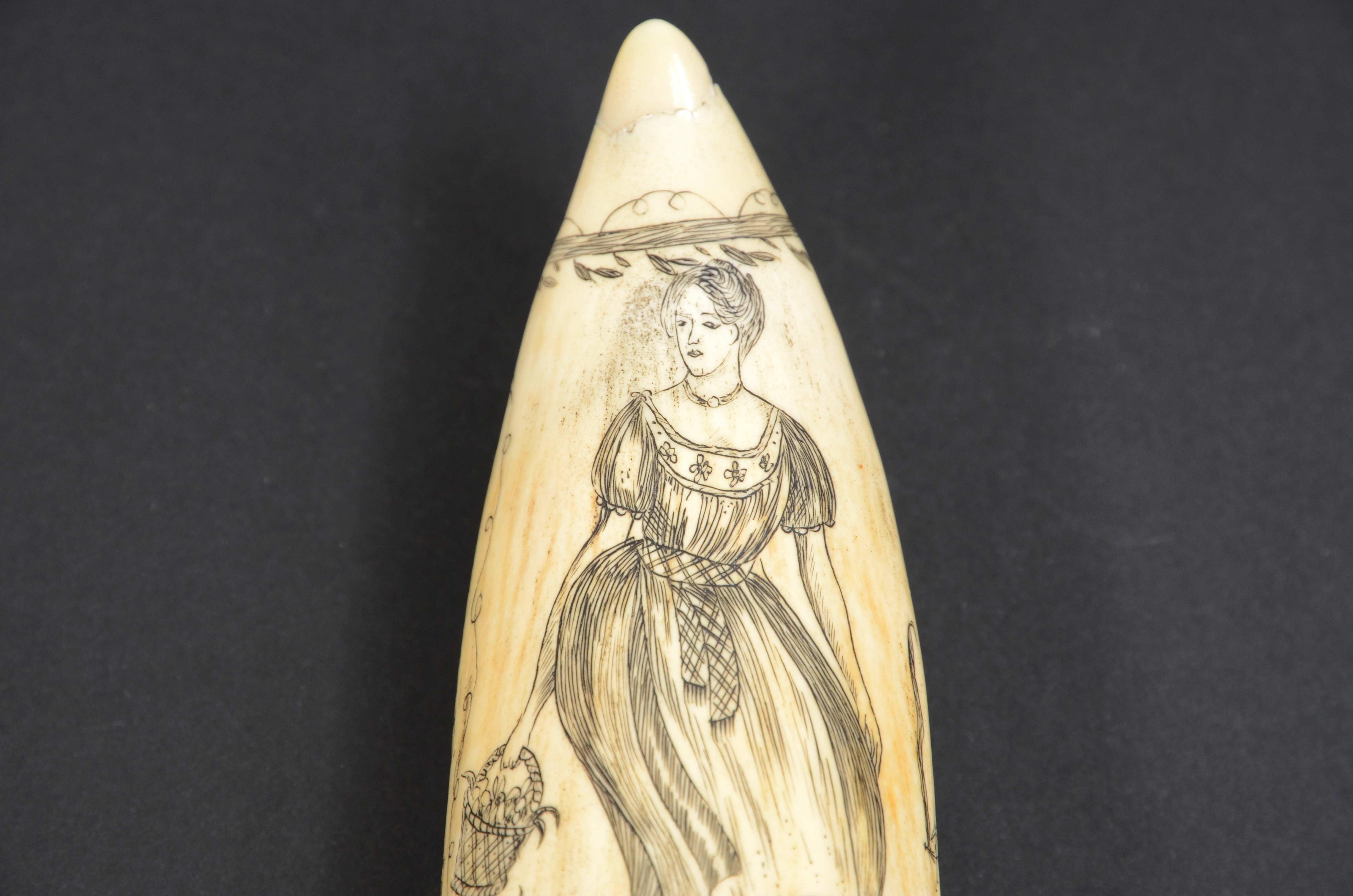 Teeth Scrimshaw of excellently made engraved whale's tooth dated around 1850 For Sale
