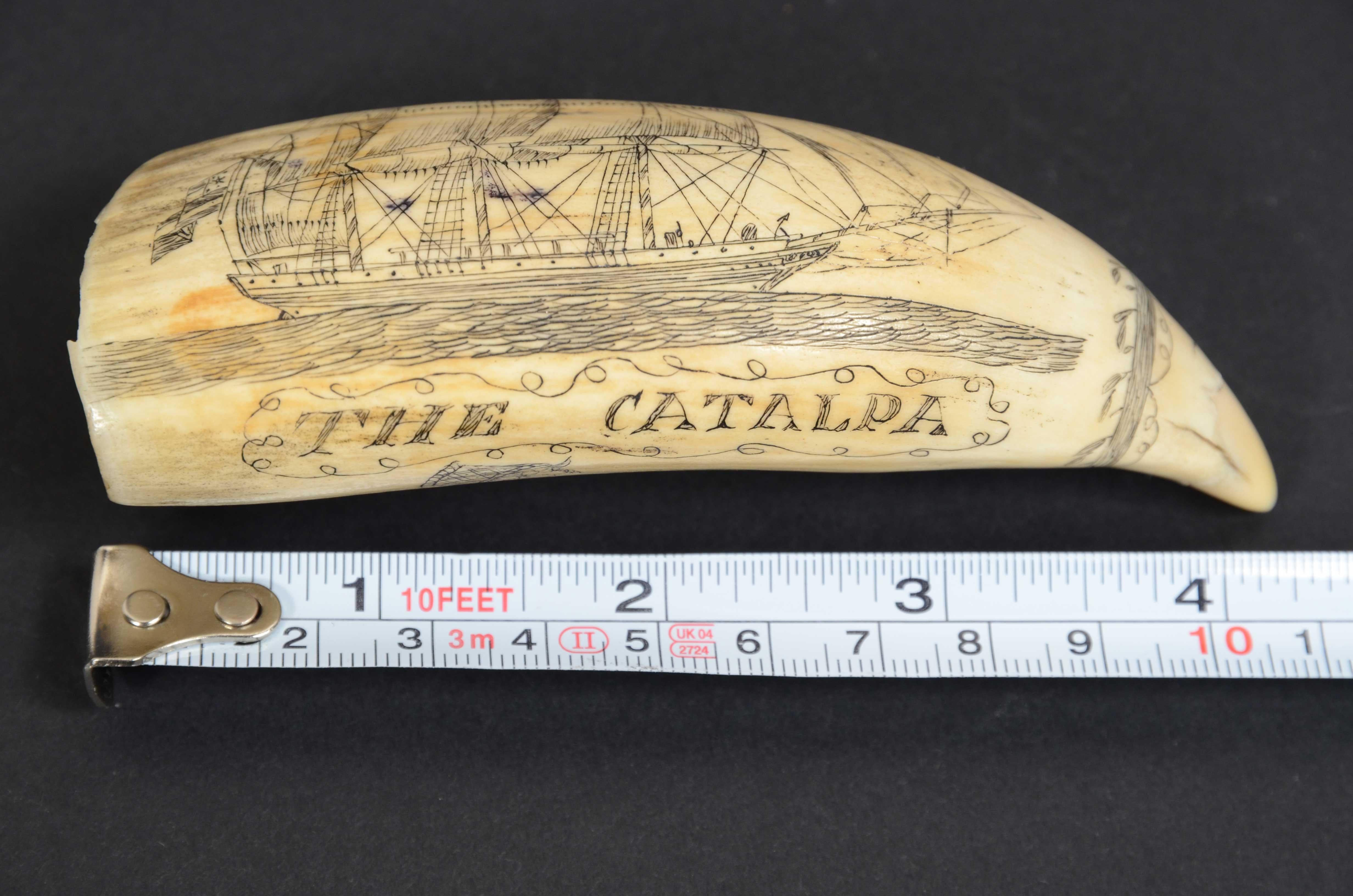 Scrimshaw of excellently made engraved whale's tooth dated around 1850 For Sale 1