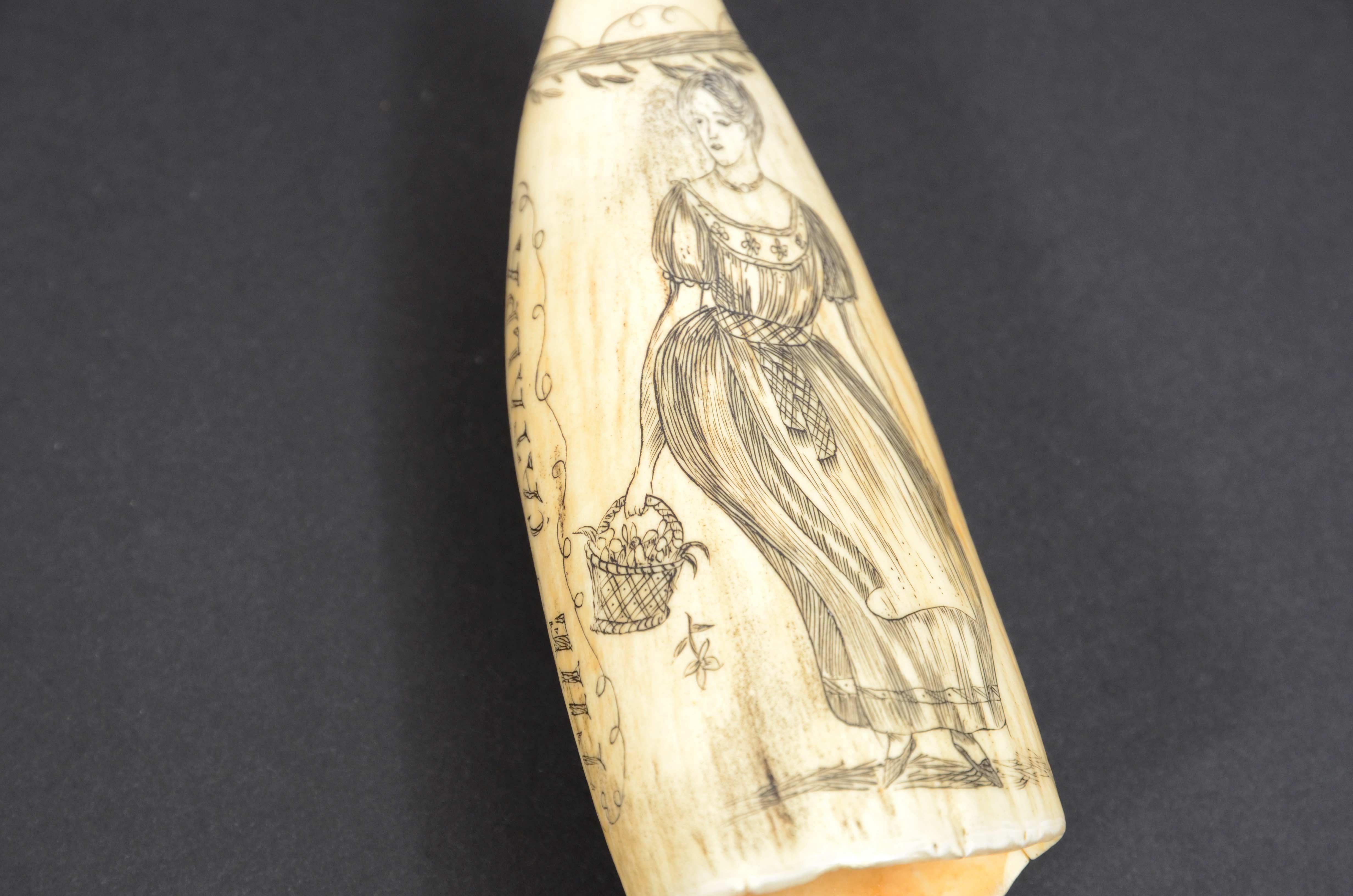 Scrimshaw de diente de ballena grabado de excelente factura datable hacia 1850 Dientes