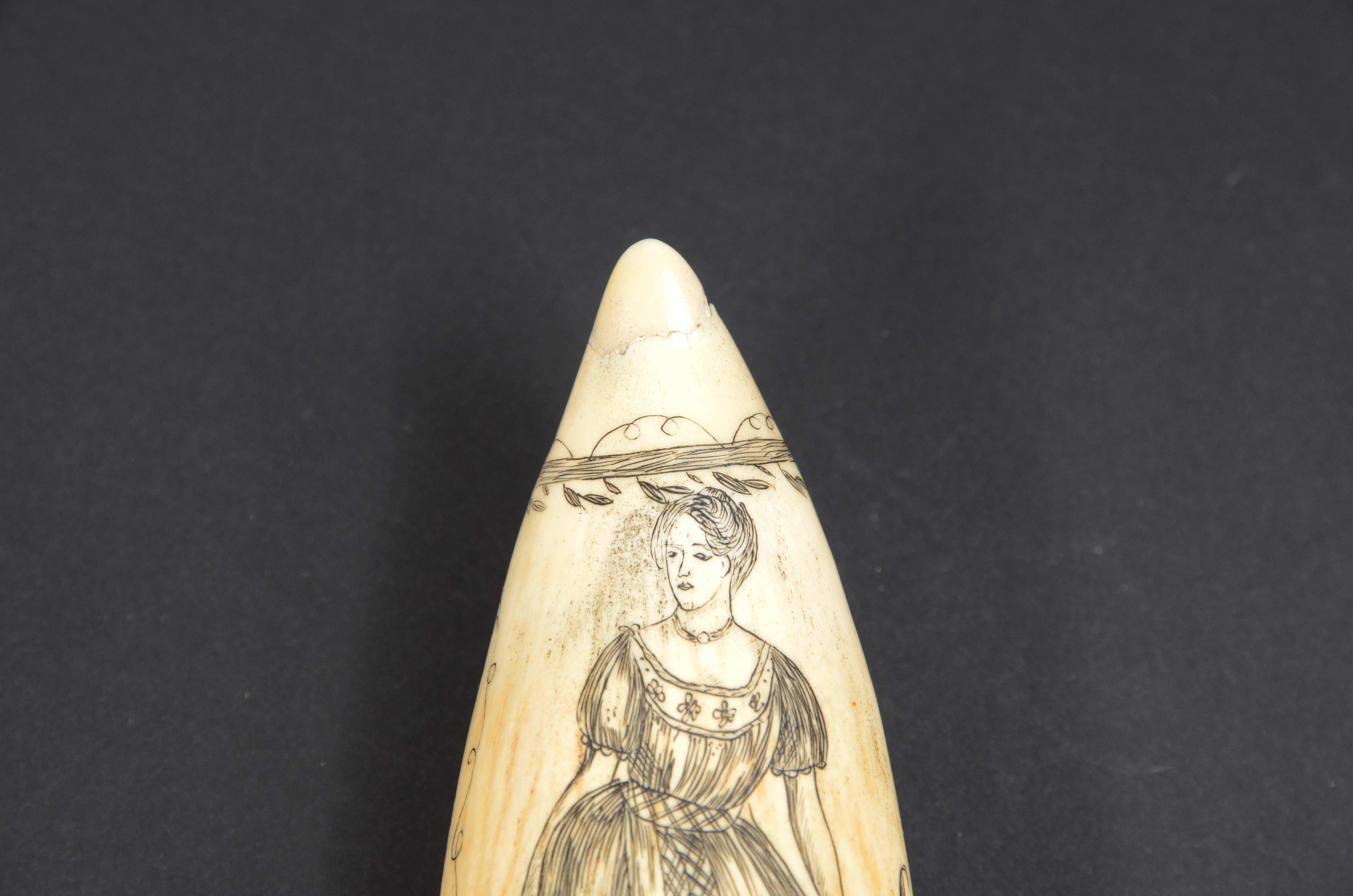 Scrimshaw of excellently made engraved whale's tooth dated around 1850 For Sale 3
