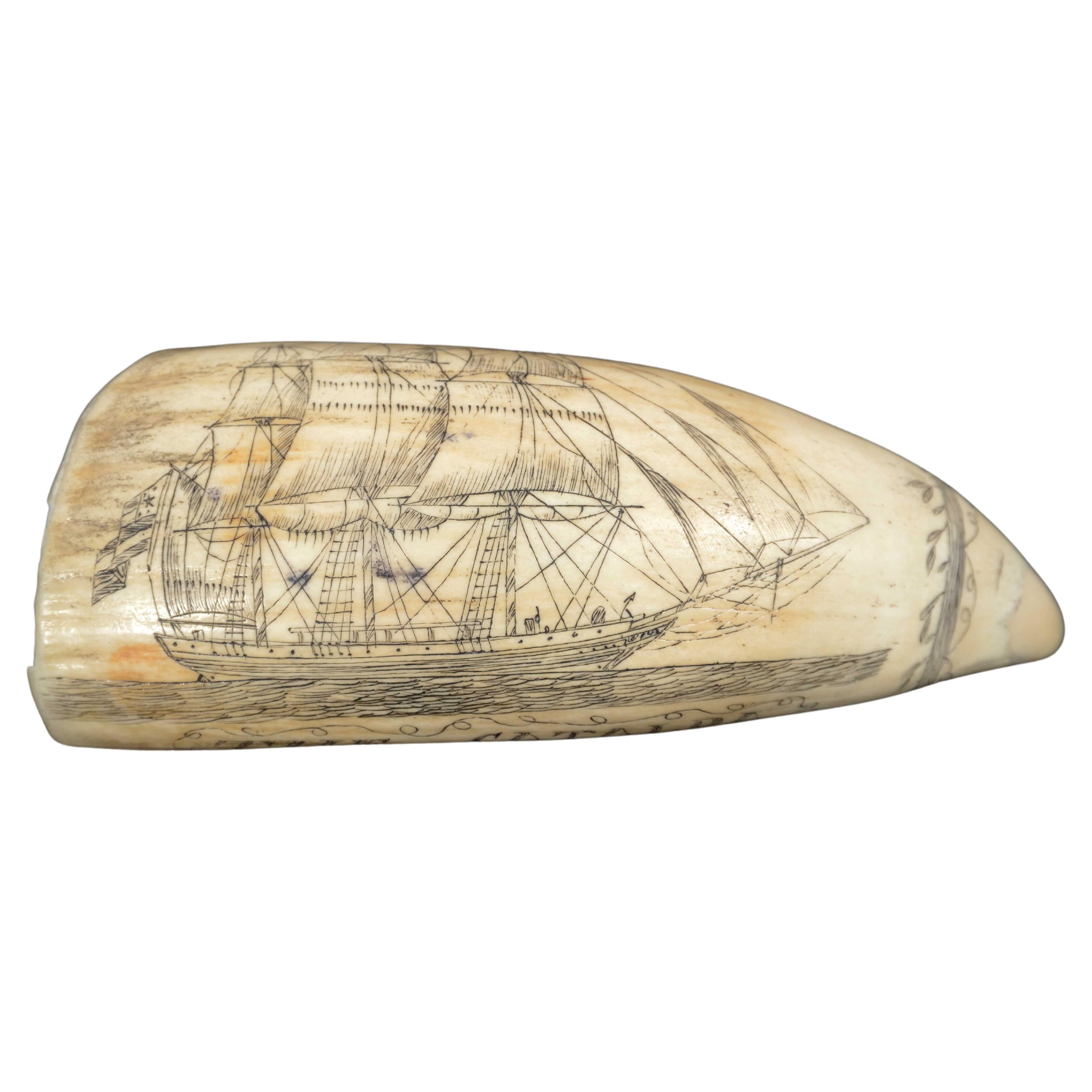 Scrimshaw of excellently made engraved whale's tooth dated around 1850 For Sale