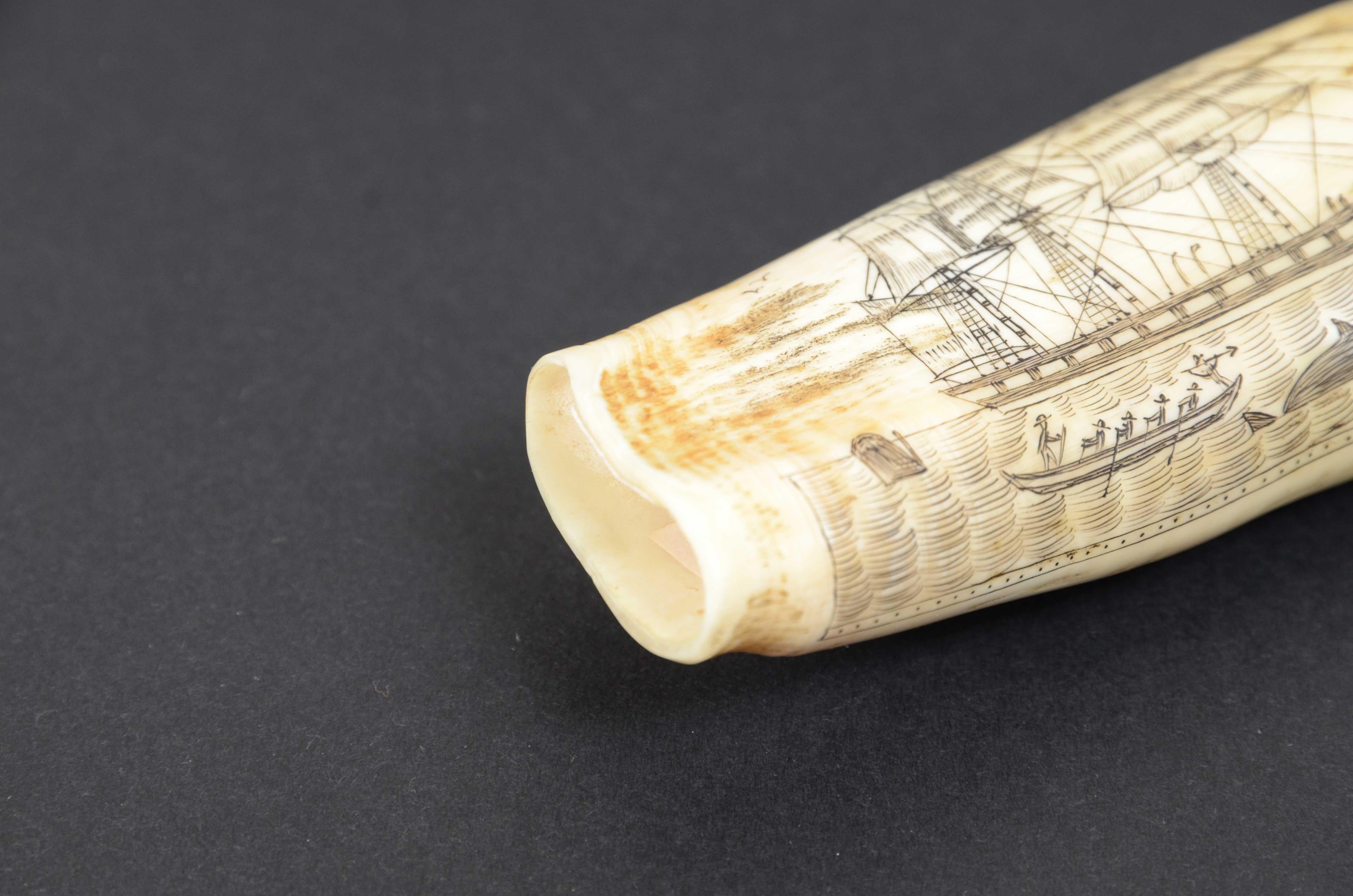 Engraved whale tooth scrimshaw of fine workmanship datable around  1850 For Sale 6