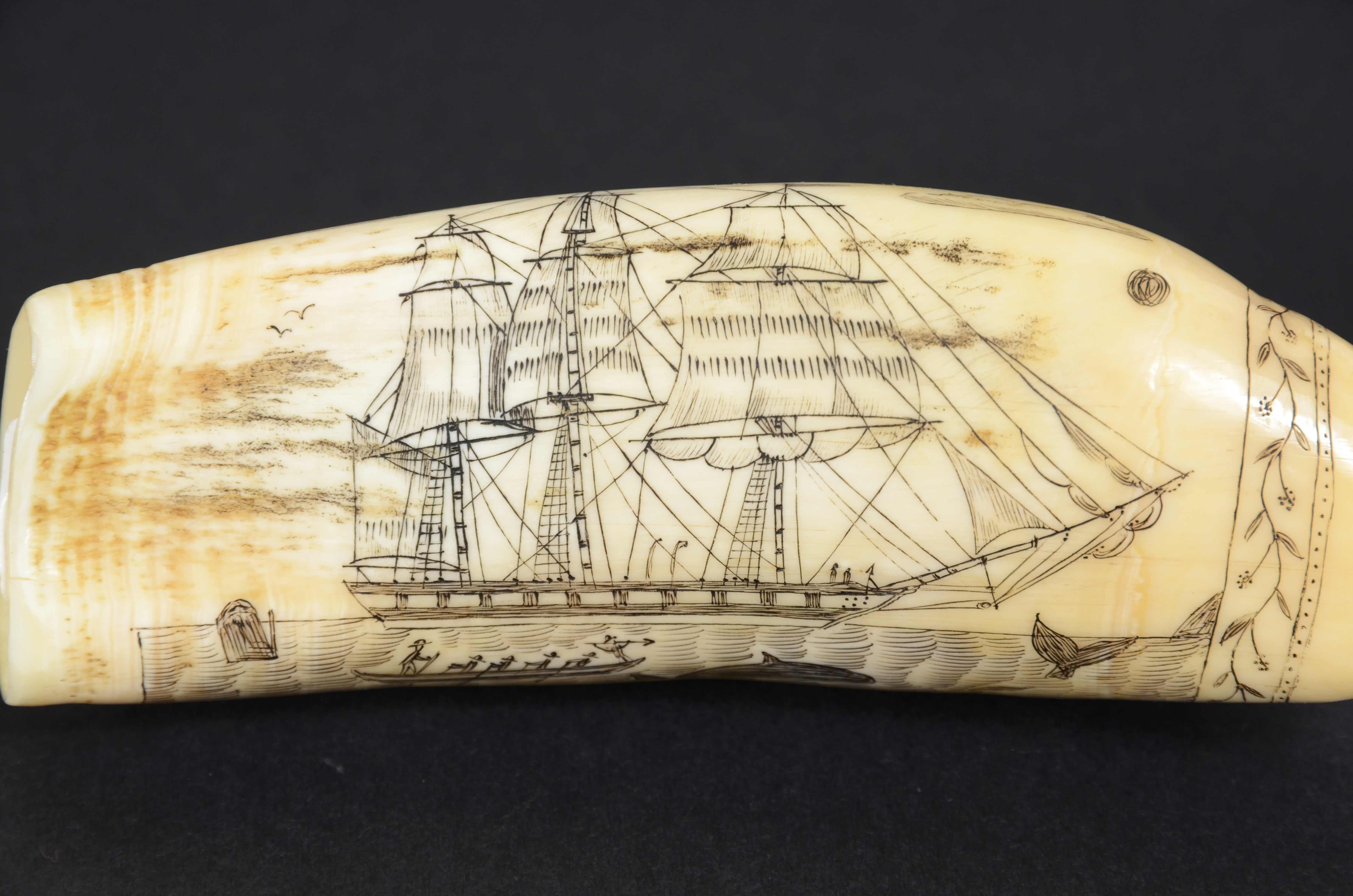 Engraved whale tooth scrimshaw of fine workmanship datable around  1850 In Good Condition For Sale In Milan, IT