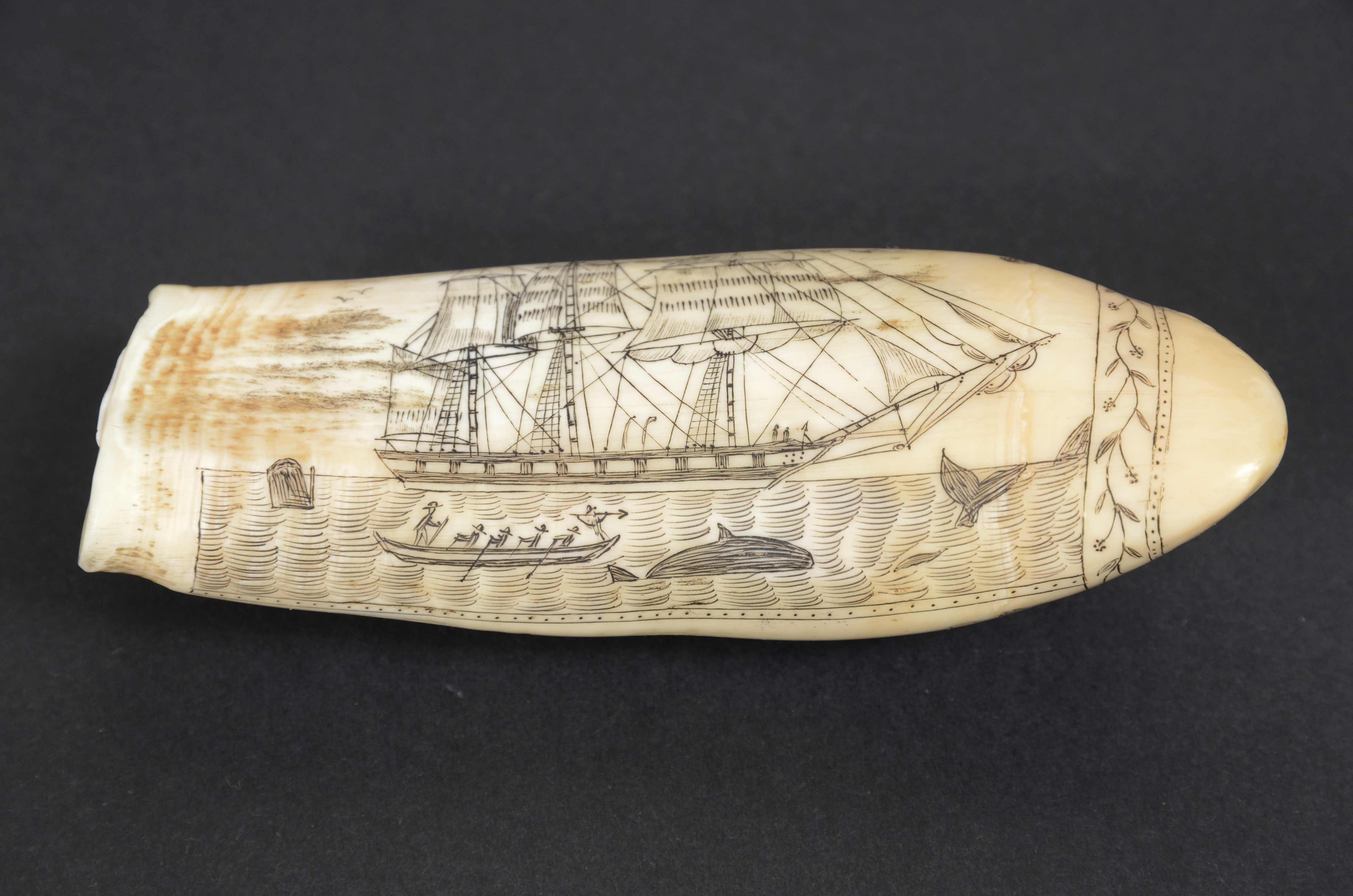 Mid-19th Century Engraved whale tooth scrimshaw of fine workmanship datable around  1850 For Sale