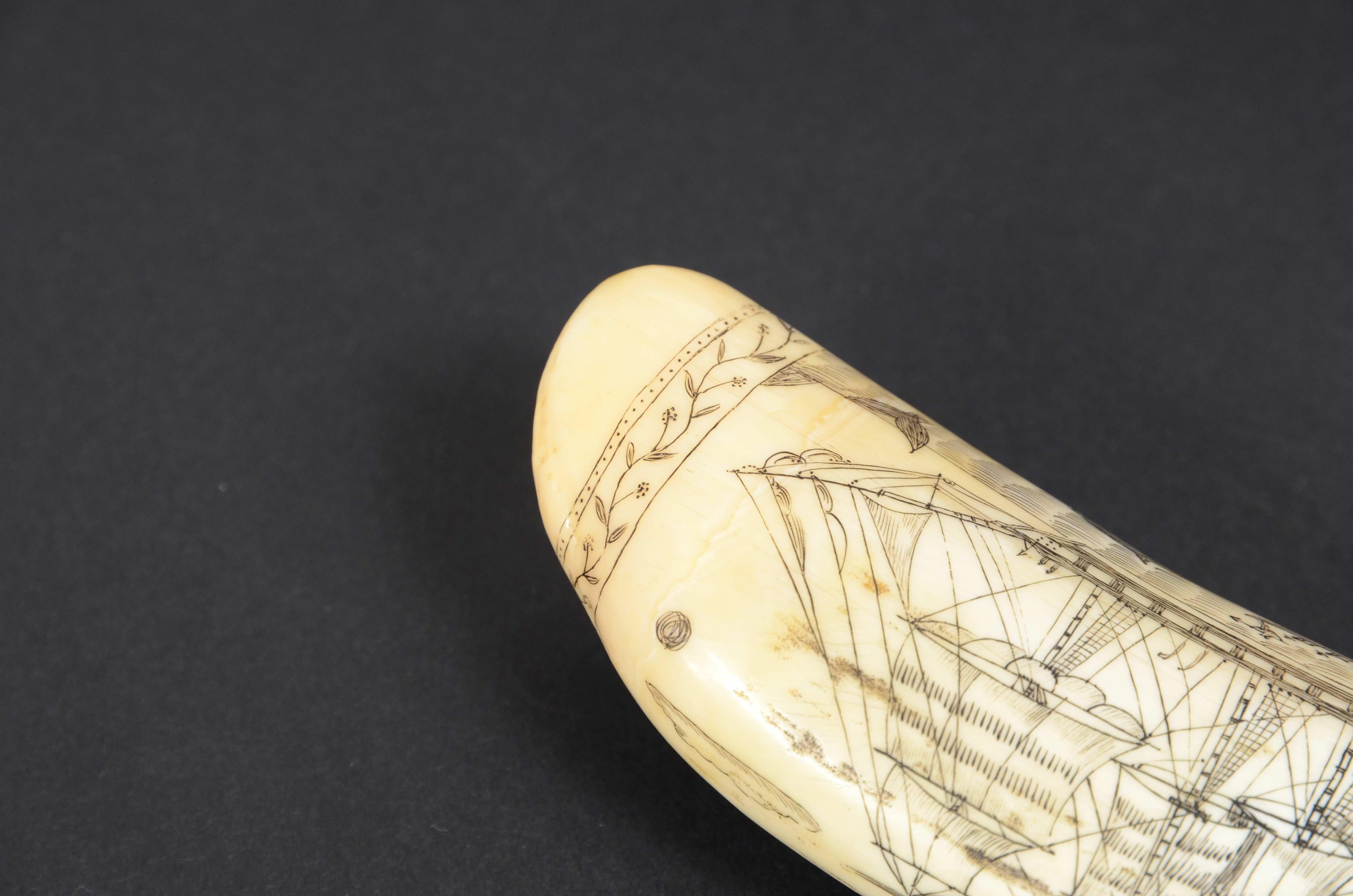 Engraved whale tooth scrimshaw of fine workmanship datable around  1850 For Sale 4