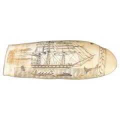 Engraved whale tooth scrimshaw of fine workmanship datable around  1850