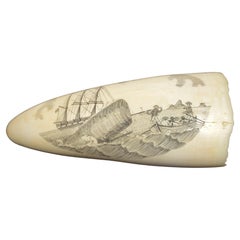 Scrimshaw di dente di balena inciso di pregevole fattura prima metà del XIX Sec.