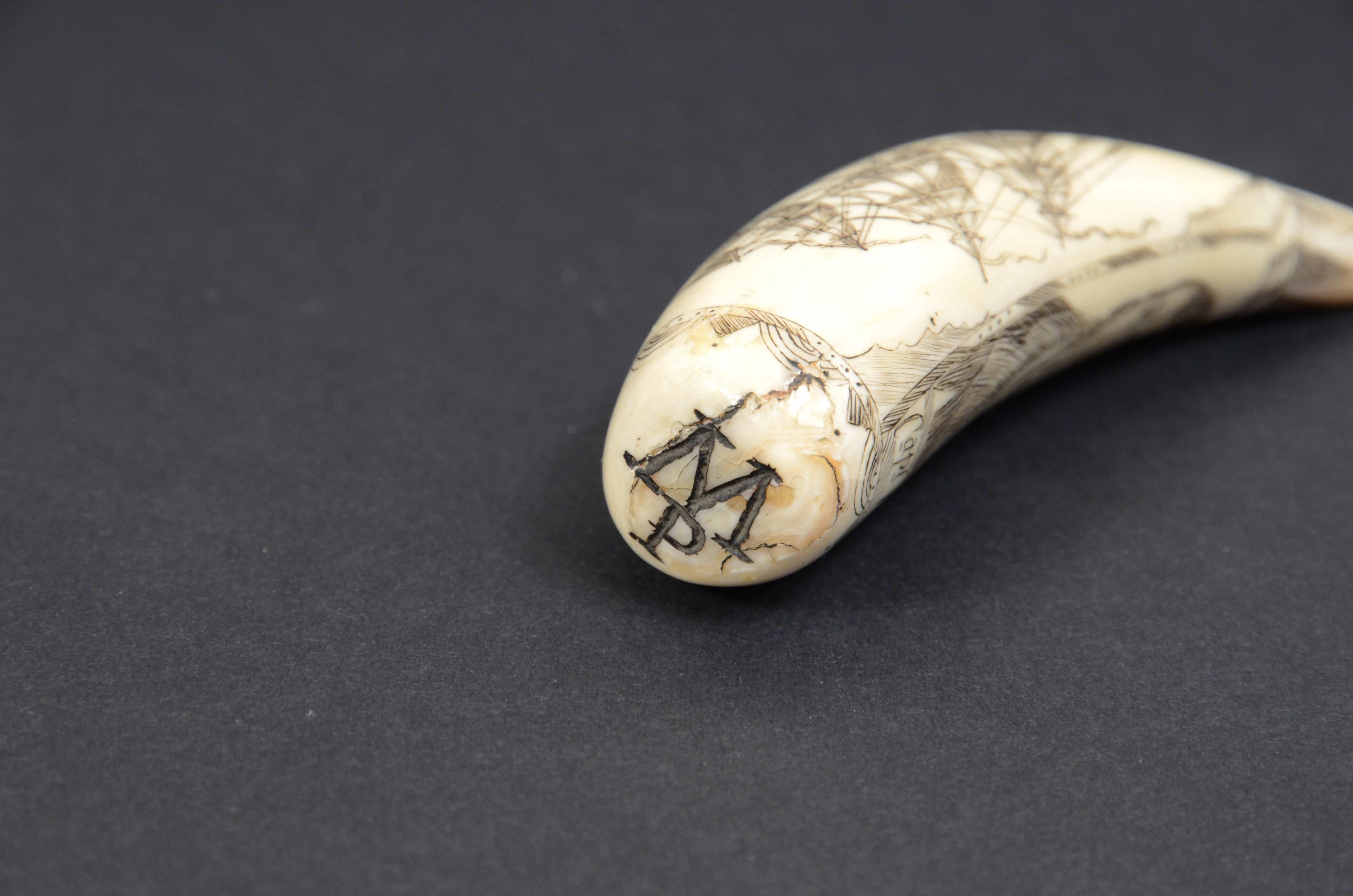 Scrimshaw of engraved whale tooth and excellent workmanship datable to around 1850 5