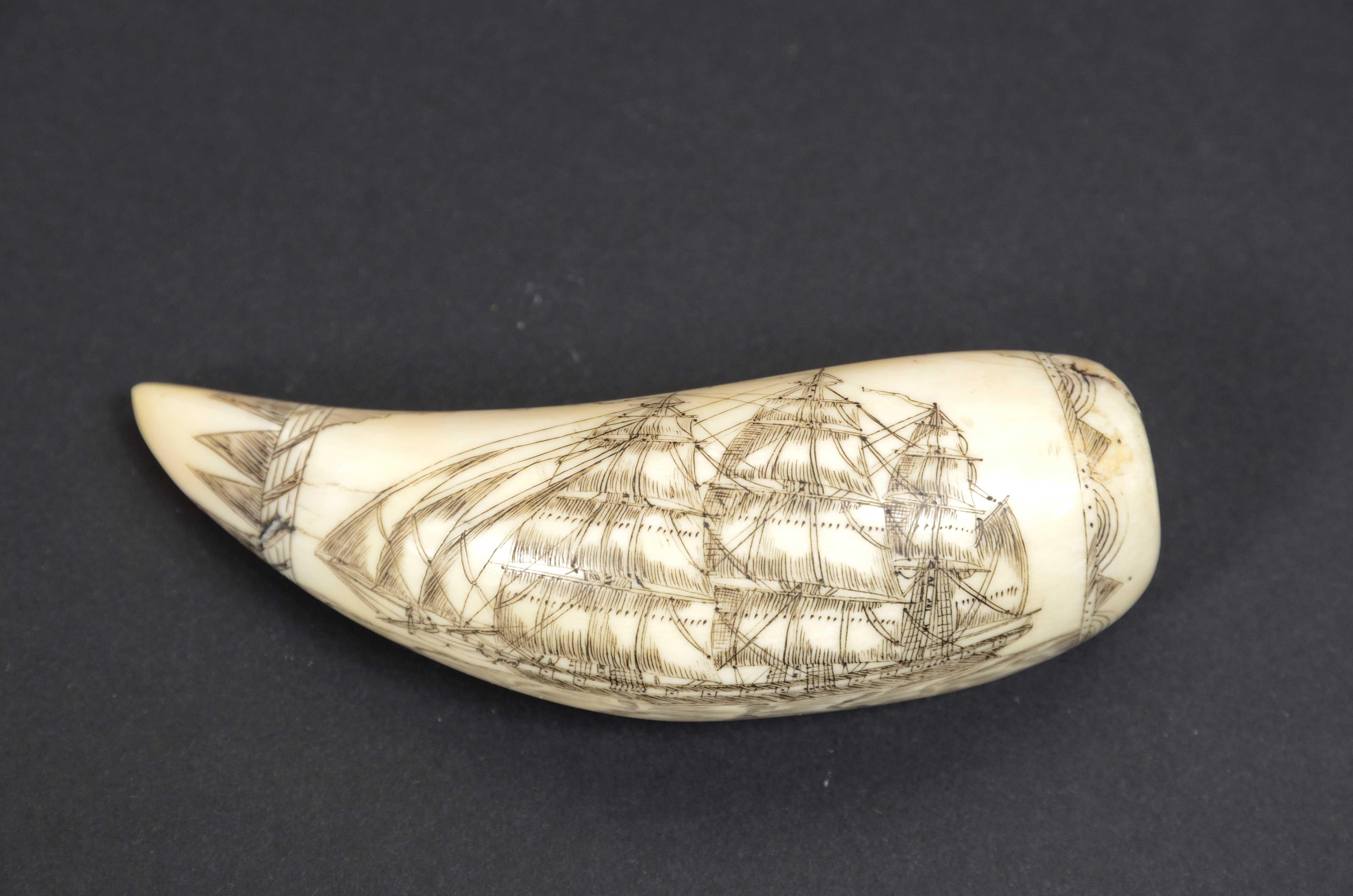 Scrimshaw of engraved whale tooth and excellent workmanship datable to around 1850 10