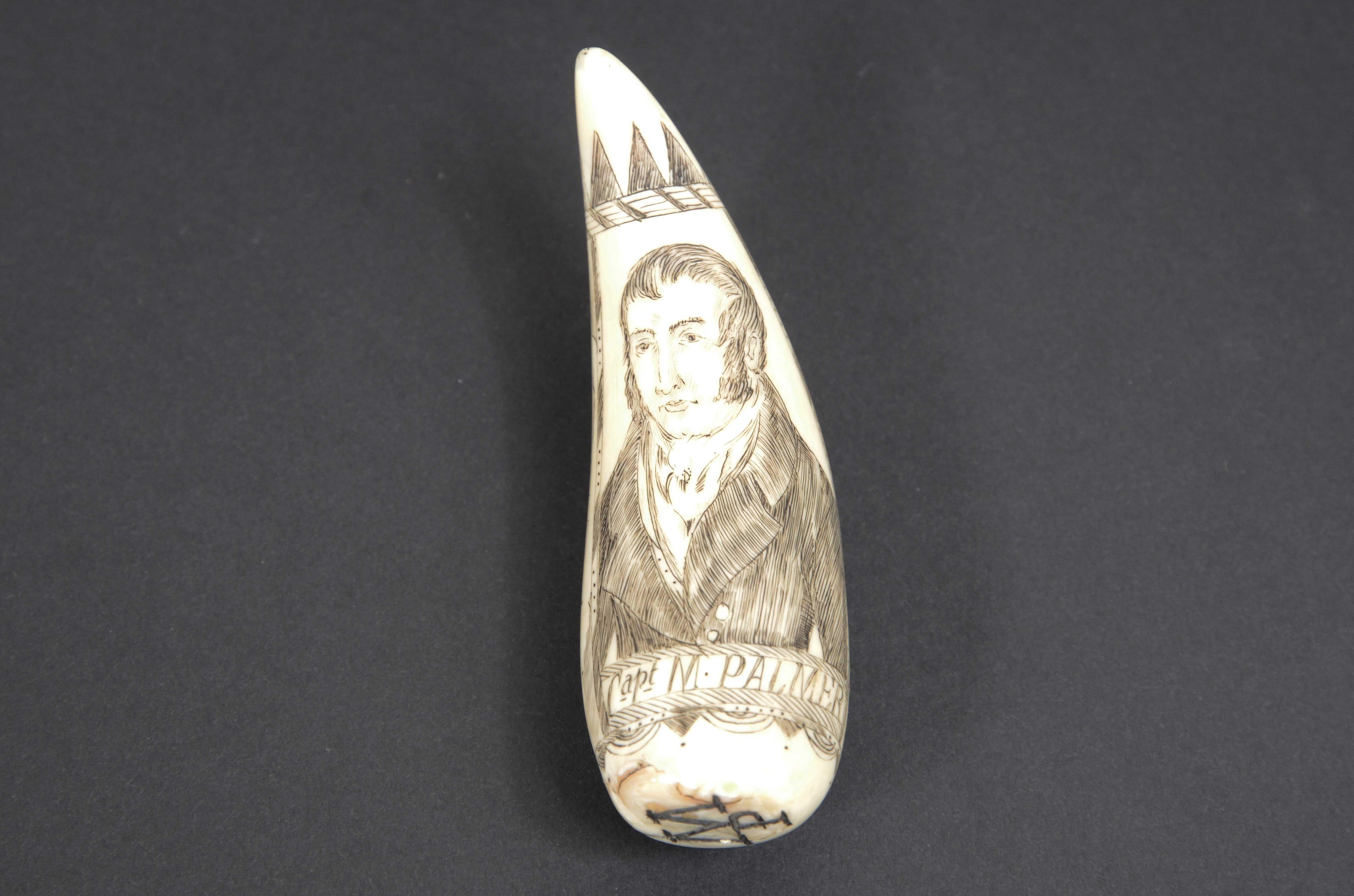 Scrimshaw of an engraved and beautifully crafted whale tooth dated around mid-19th century depicting vessel with full sails under sail, on the back half bust of Capt  M. Palmer. On the side the following inscription: The Whaling Ship  ROMULUS. On