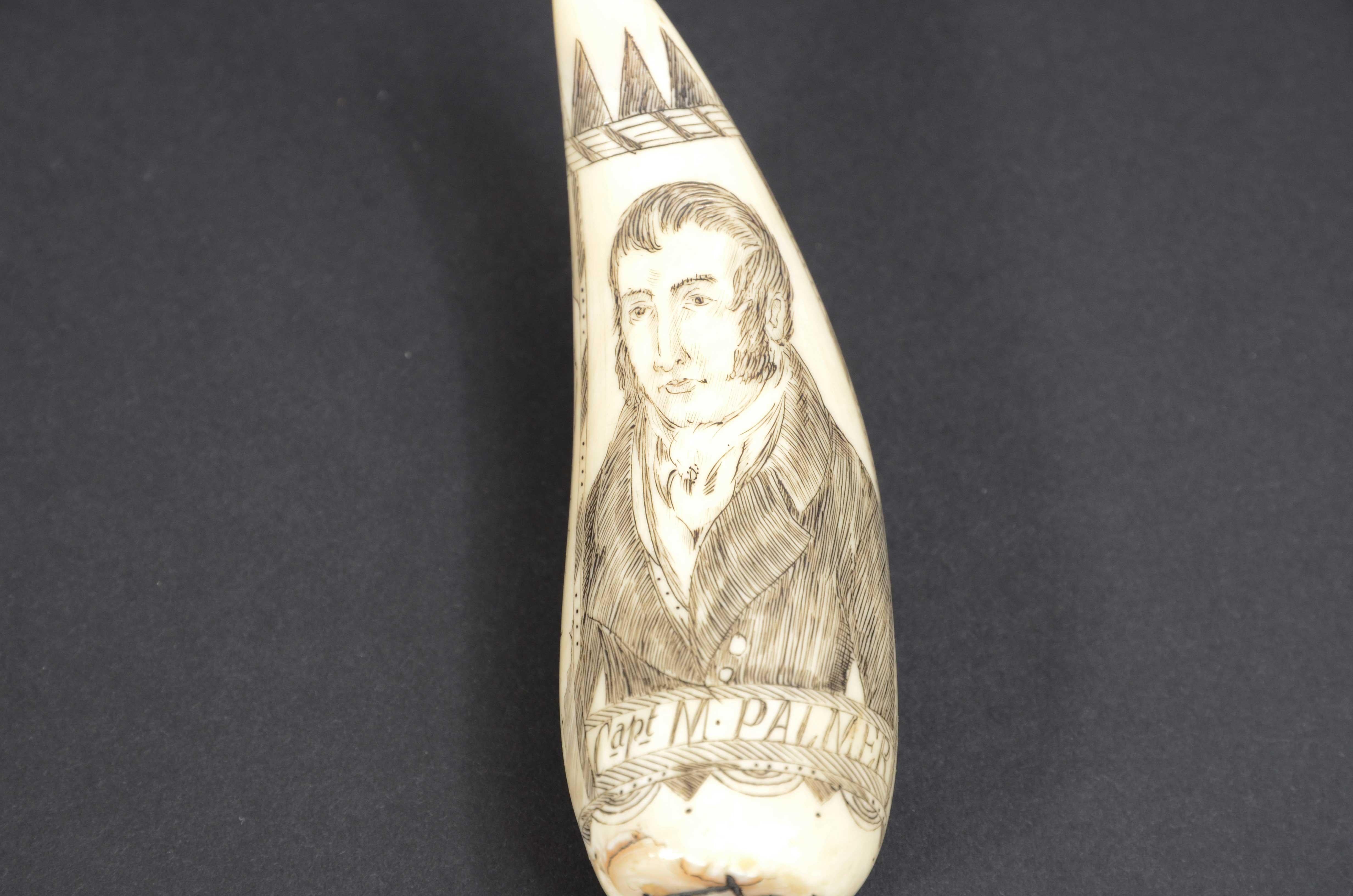 denti di capodoglio