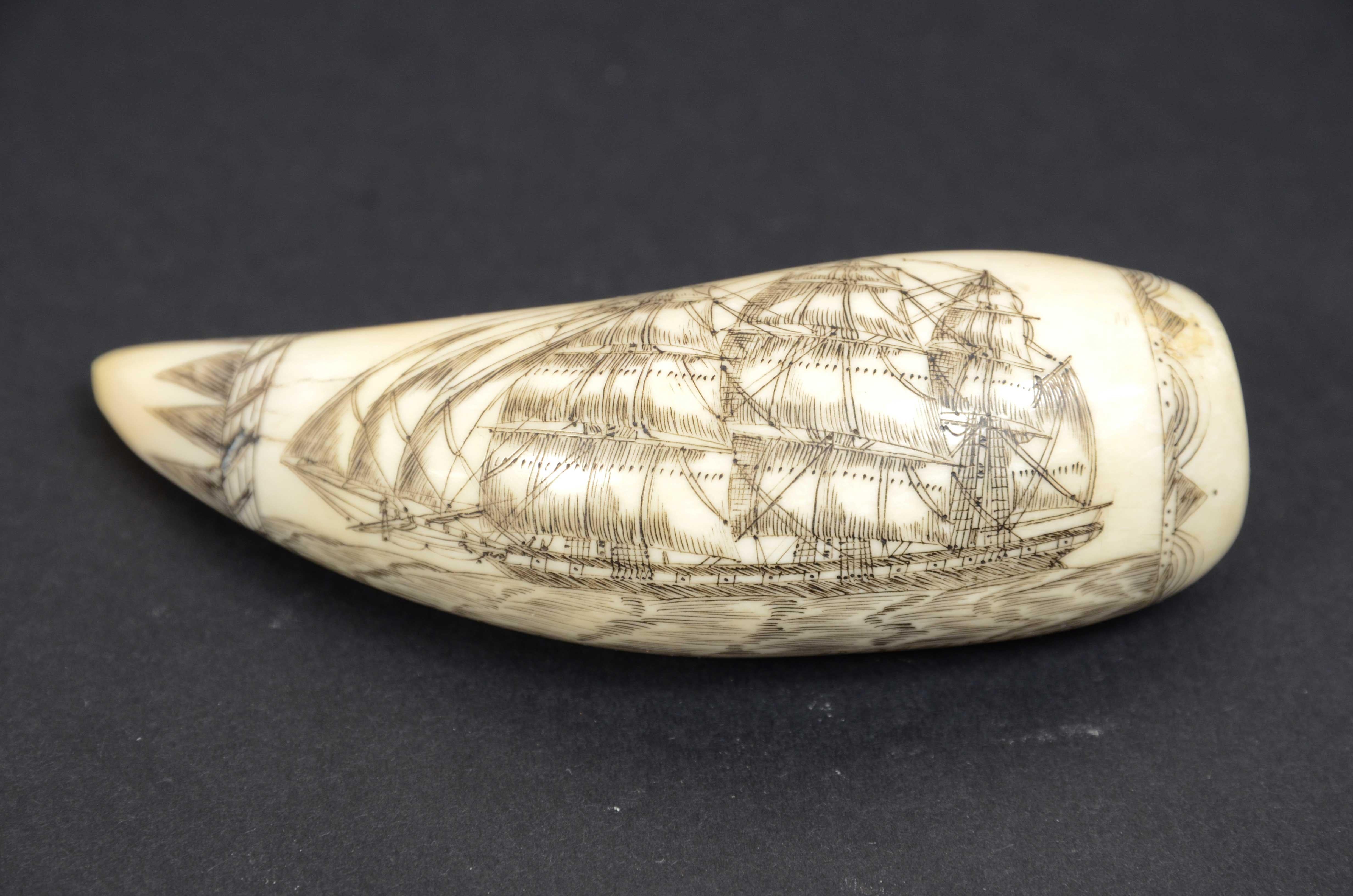 Scrimshaw of engraved whale tooth and excellent workmanship datable to around 1850 In Good Condition In Milan, IT