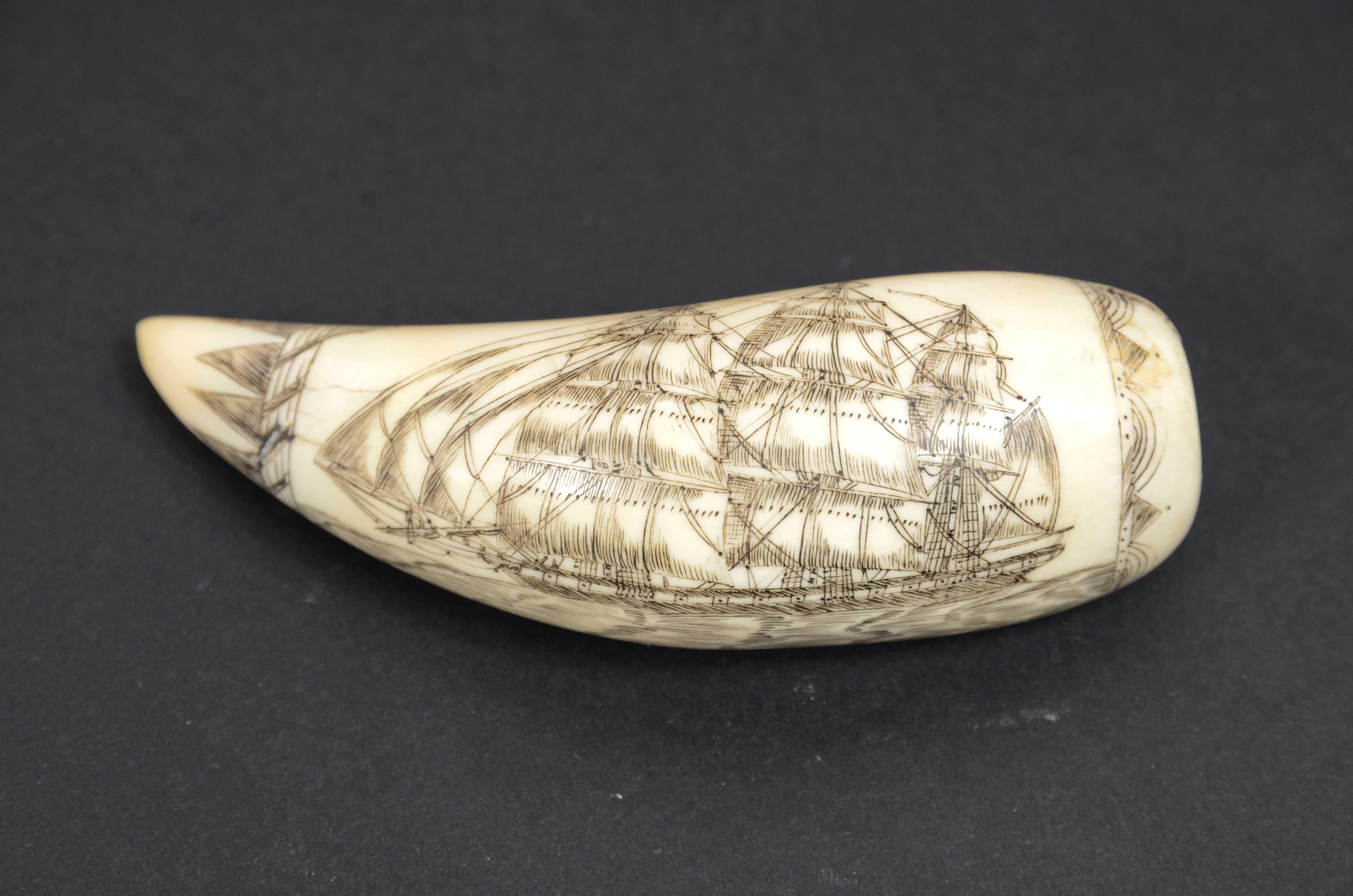 Scrimshaw of engraved whale tooth and excellent workmanship datable to around 1850 2