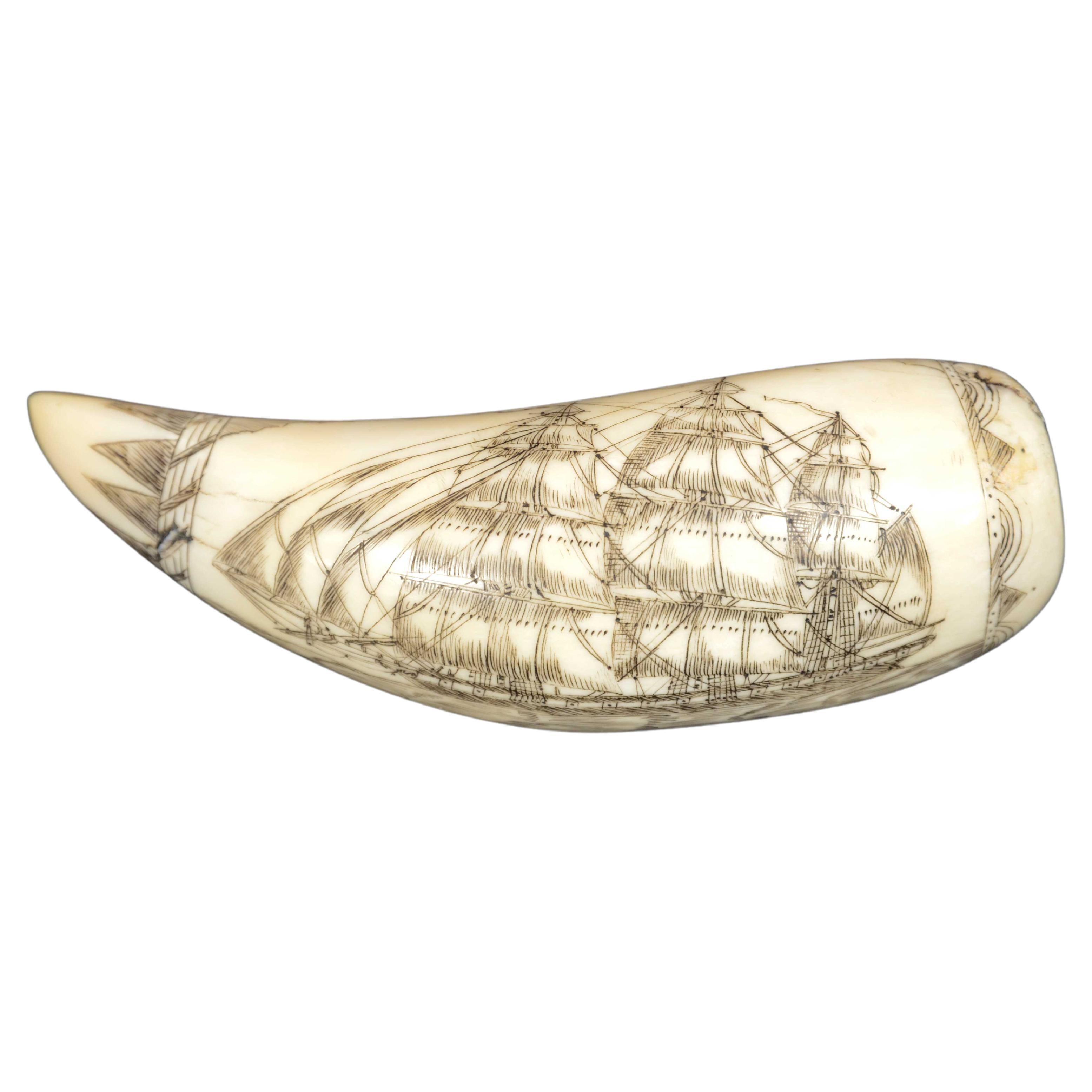 Scrimshaw of engraved whale tooth and excellent workmanship datable to around 1850