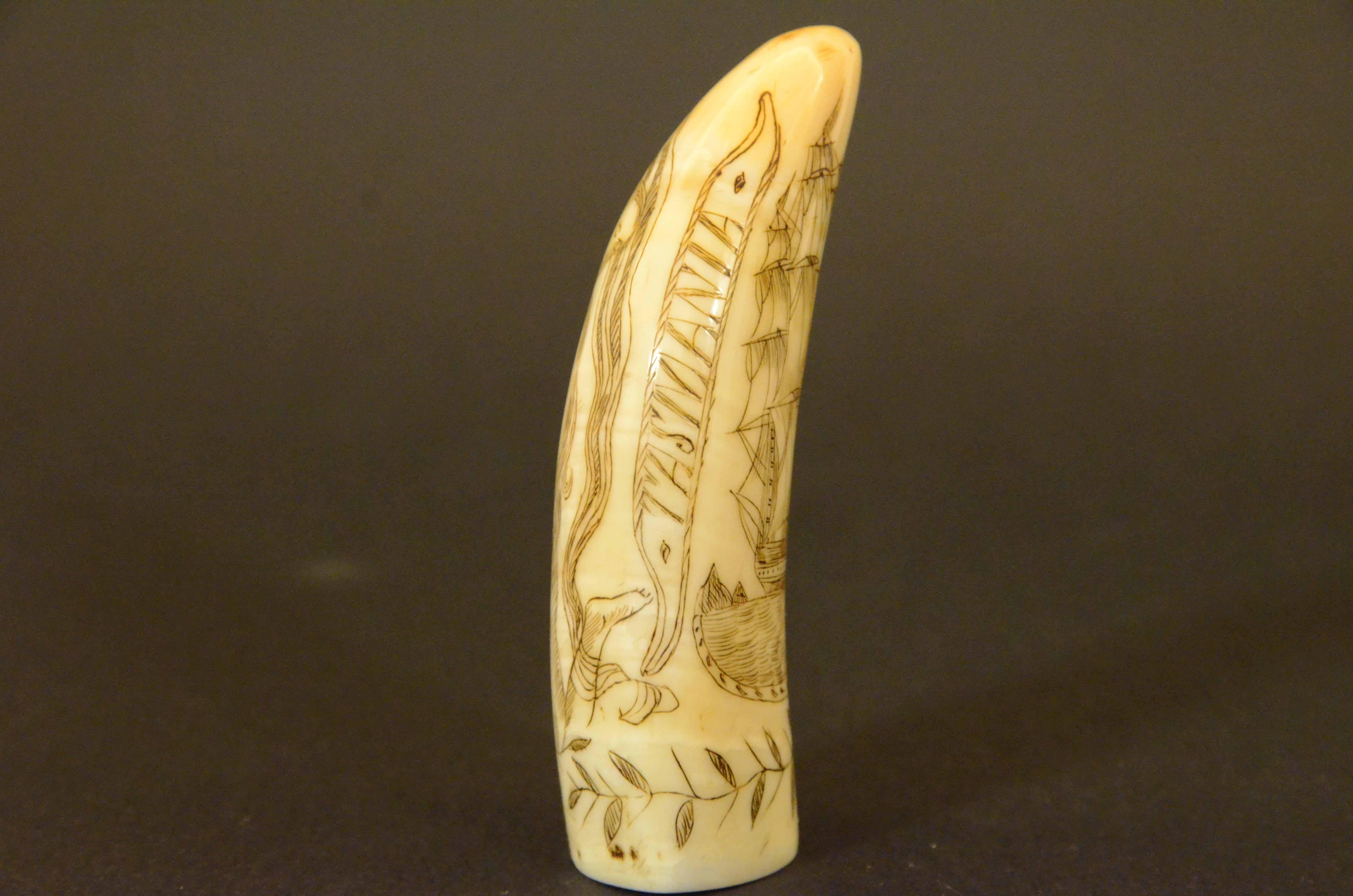 Scrimshaw of engraved whale tooth depicting naked woman with very 1850s face For Sale 5