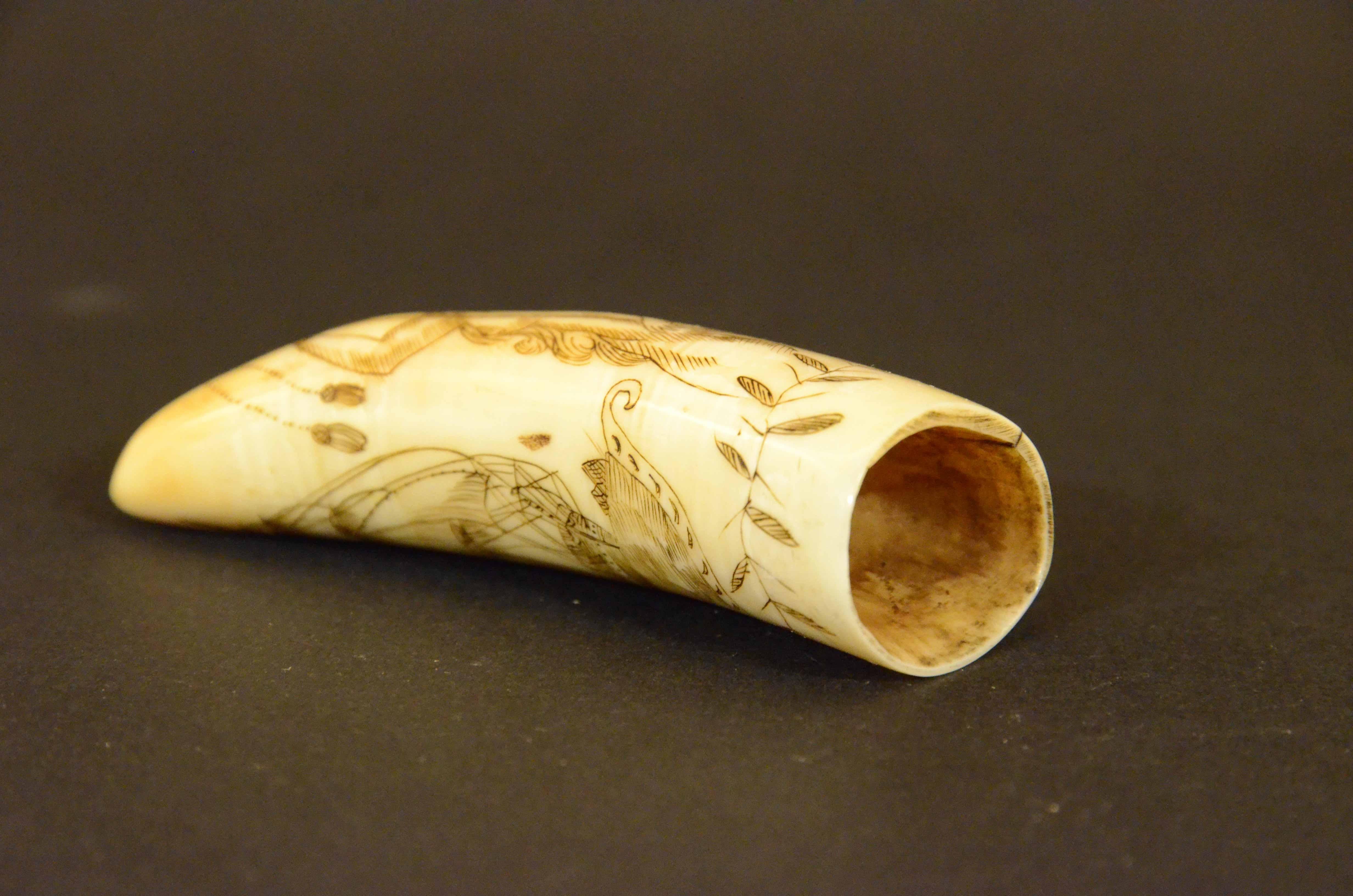 Scrimshaw of engraved whale tooth depicting naked woman with very 1850s face For Sale 6