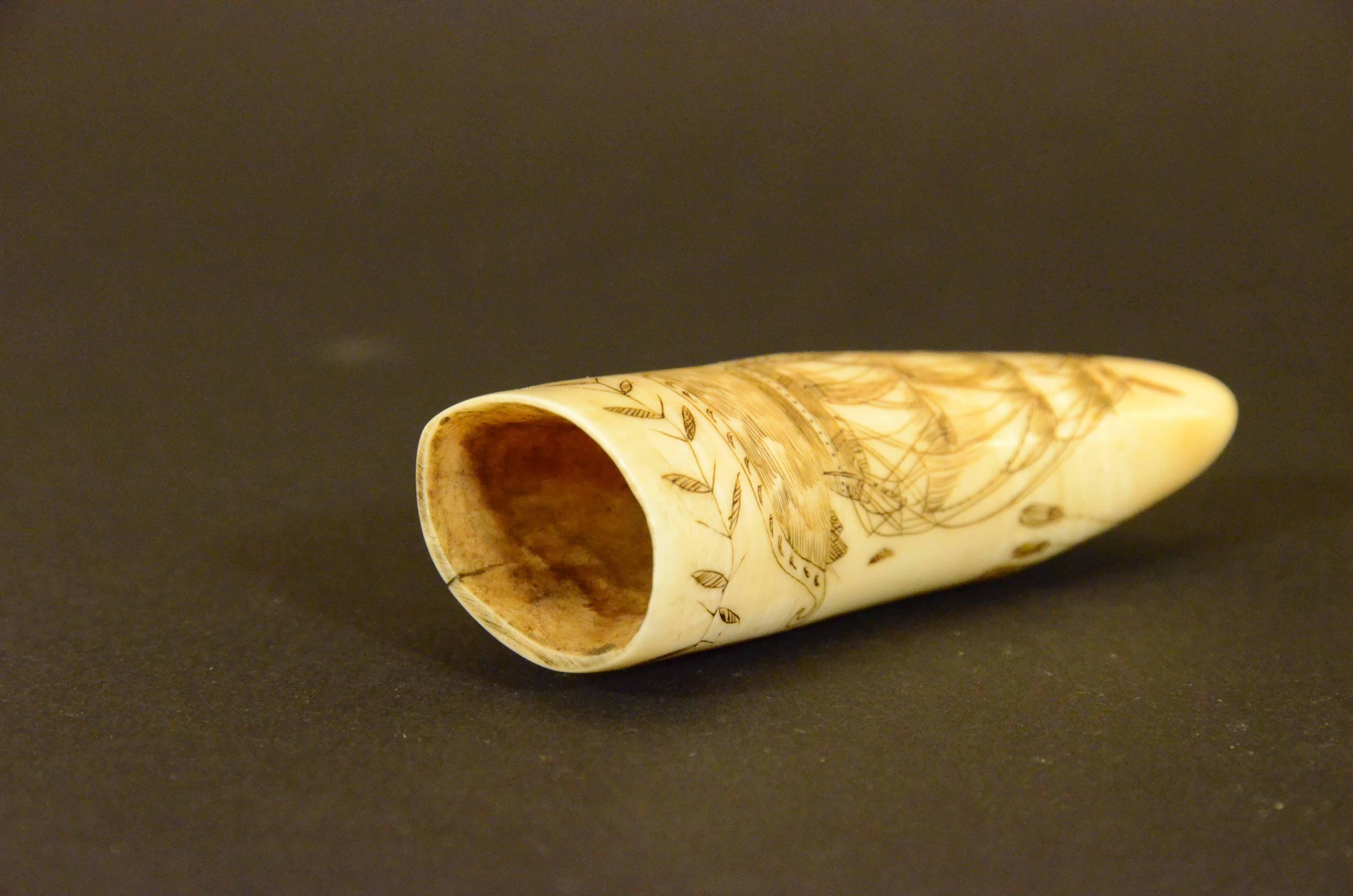 Scrimshaw of engraved whale tooth depicting naked woman with very 1850s face For Sale 7