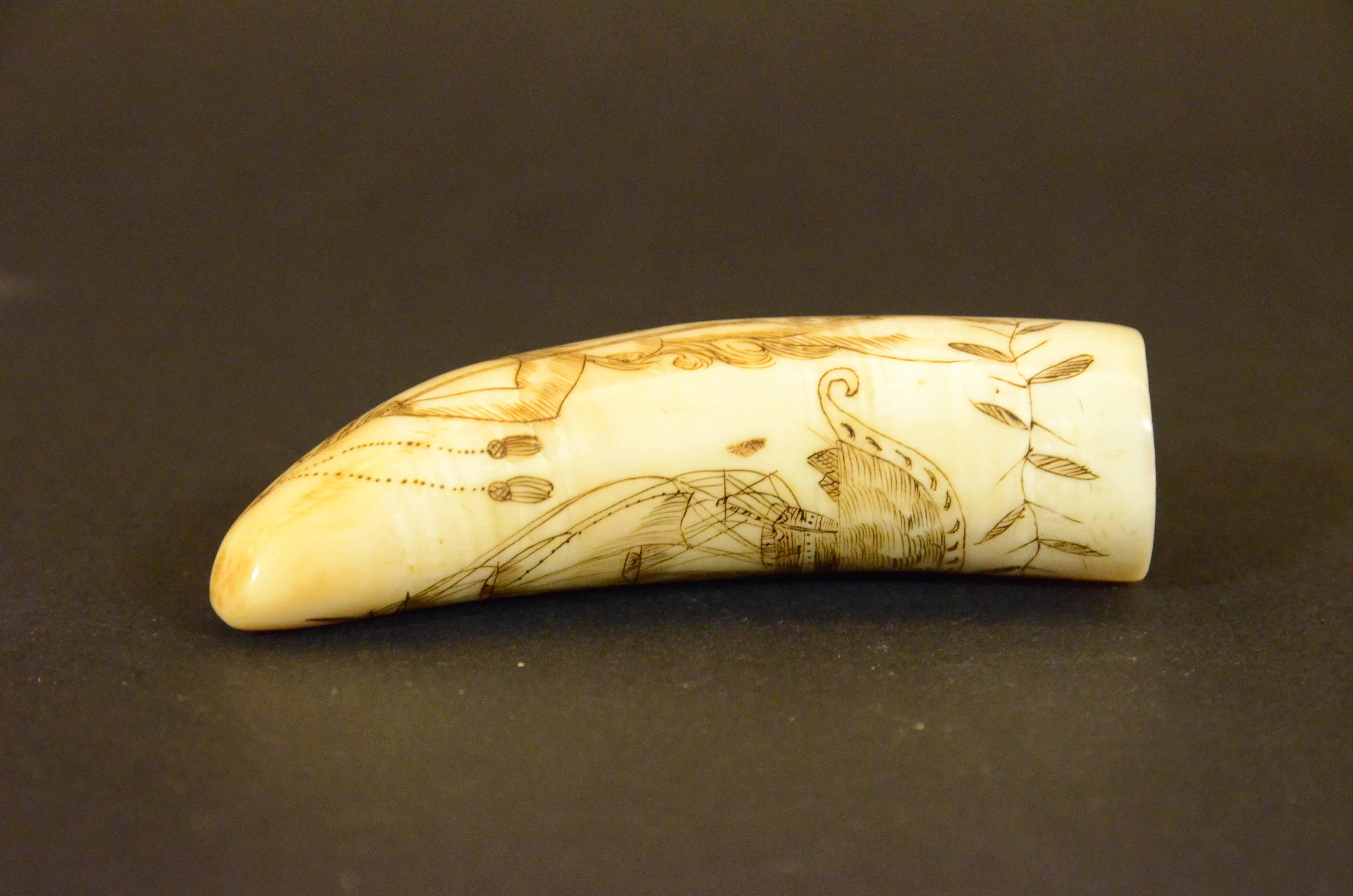Scrimshaw of engraved whale tooth depicting naked woman with very 1850s face For Sale 8