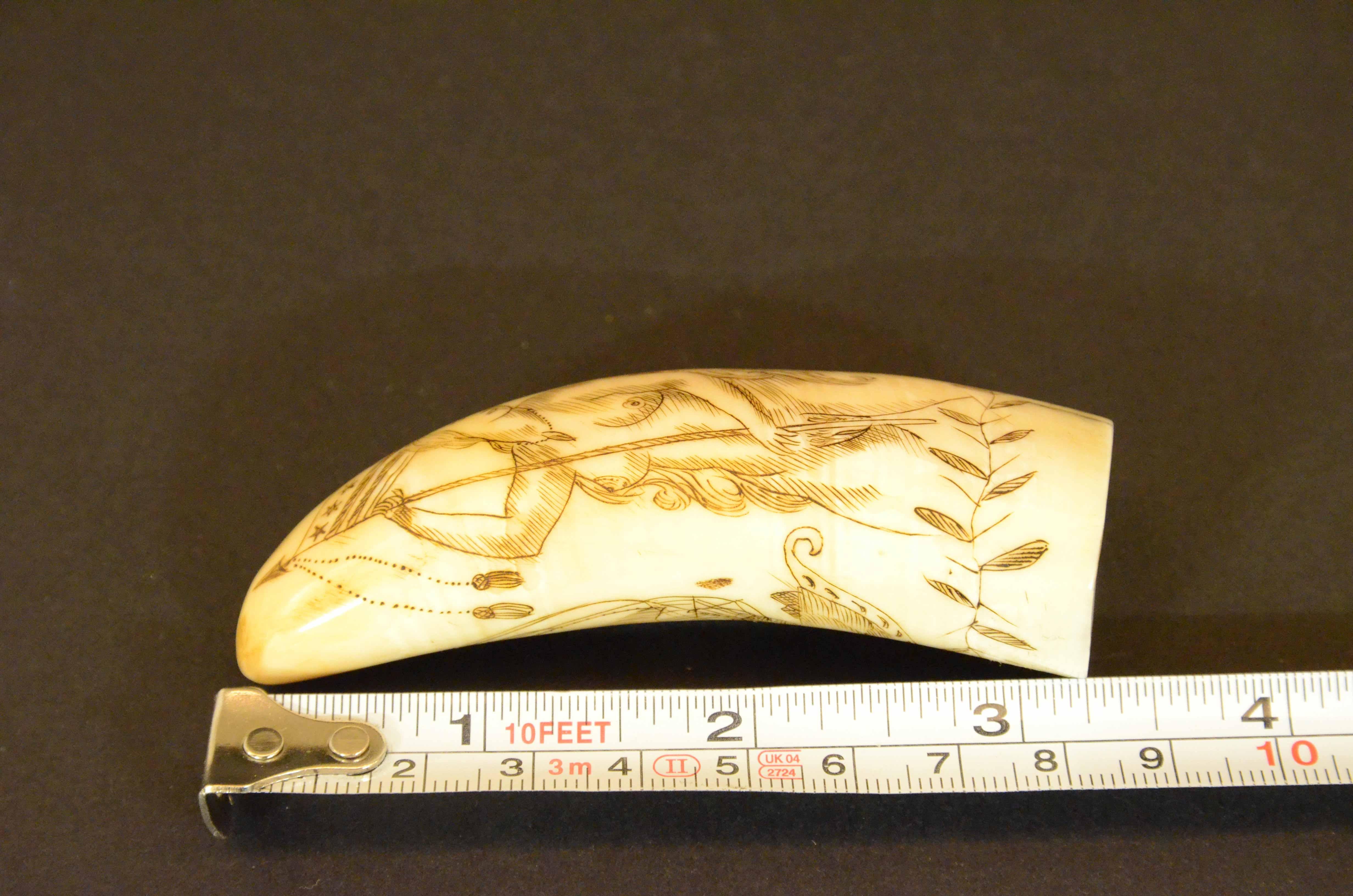 Scrimshaw of engraved whale tooth depicting naked woman with very 1850s face For Sale 10