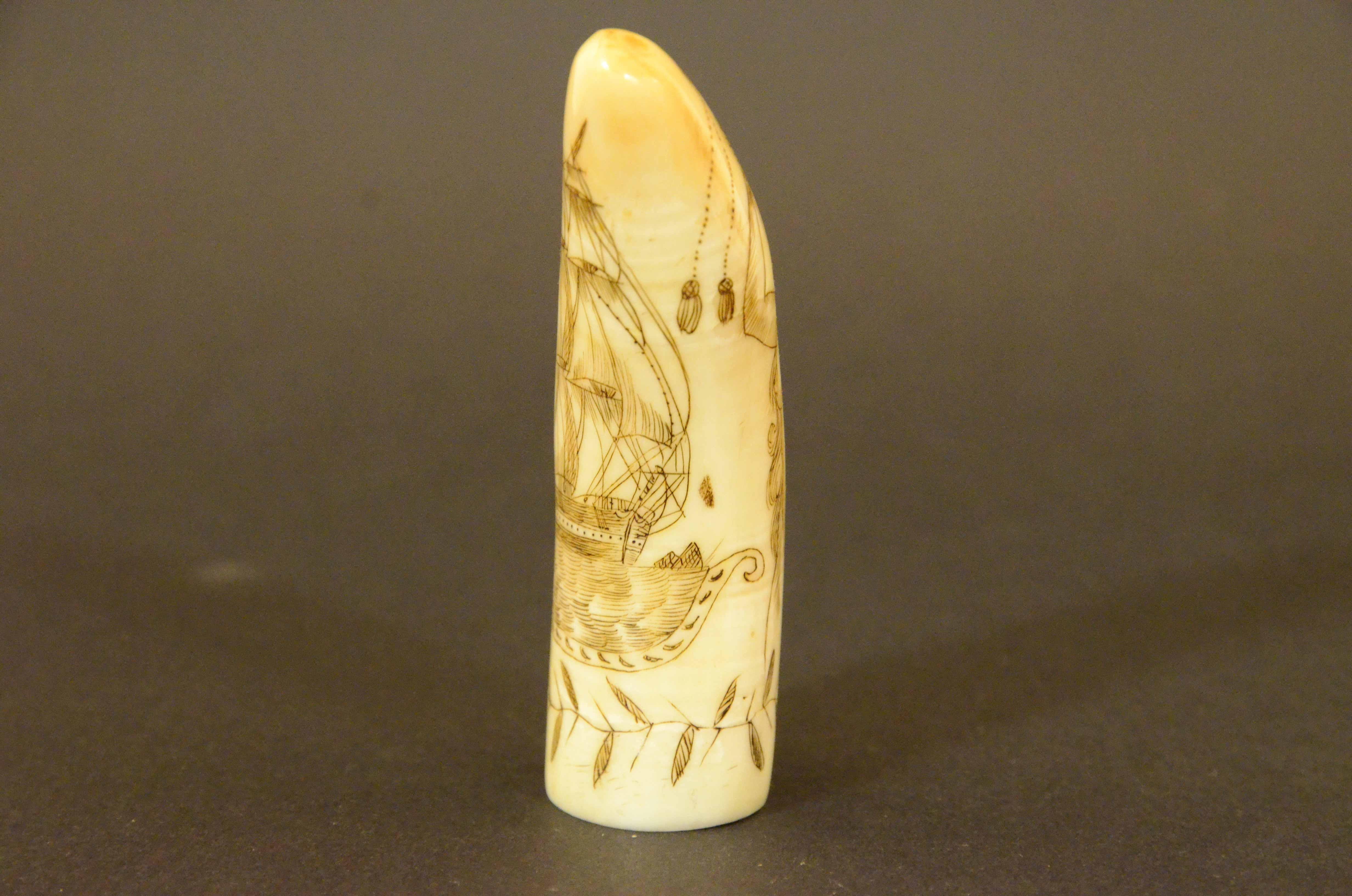 Scrimshaw of engraved whale tooth depicting naked woman with very 1850s face For Sale 4