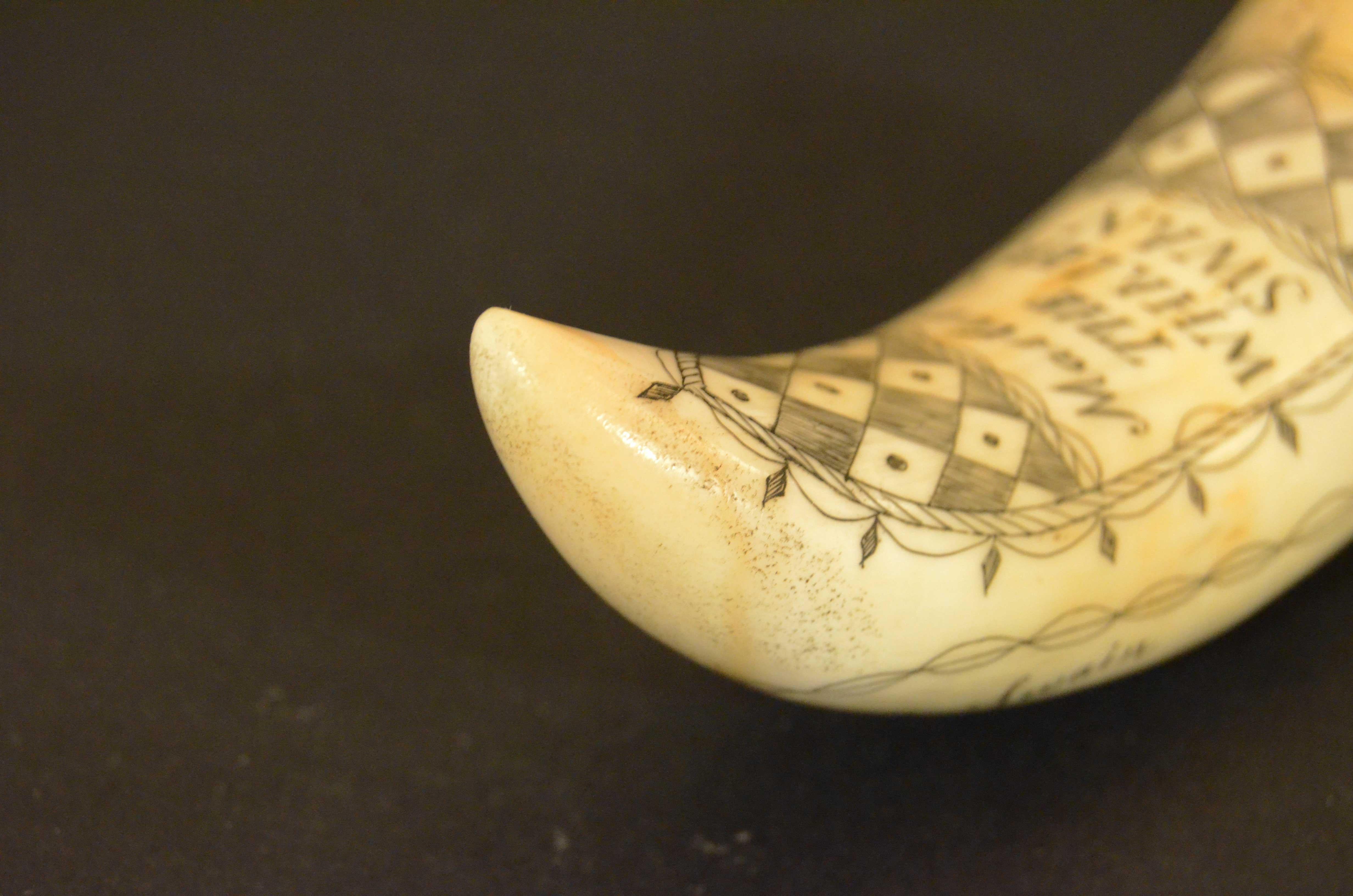 Scrimshaw of engraved whale tooth depicting the  Captain F. Swain 1850 For Sale 6