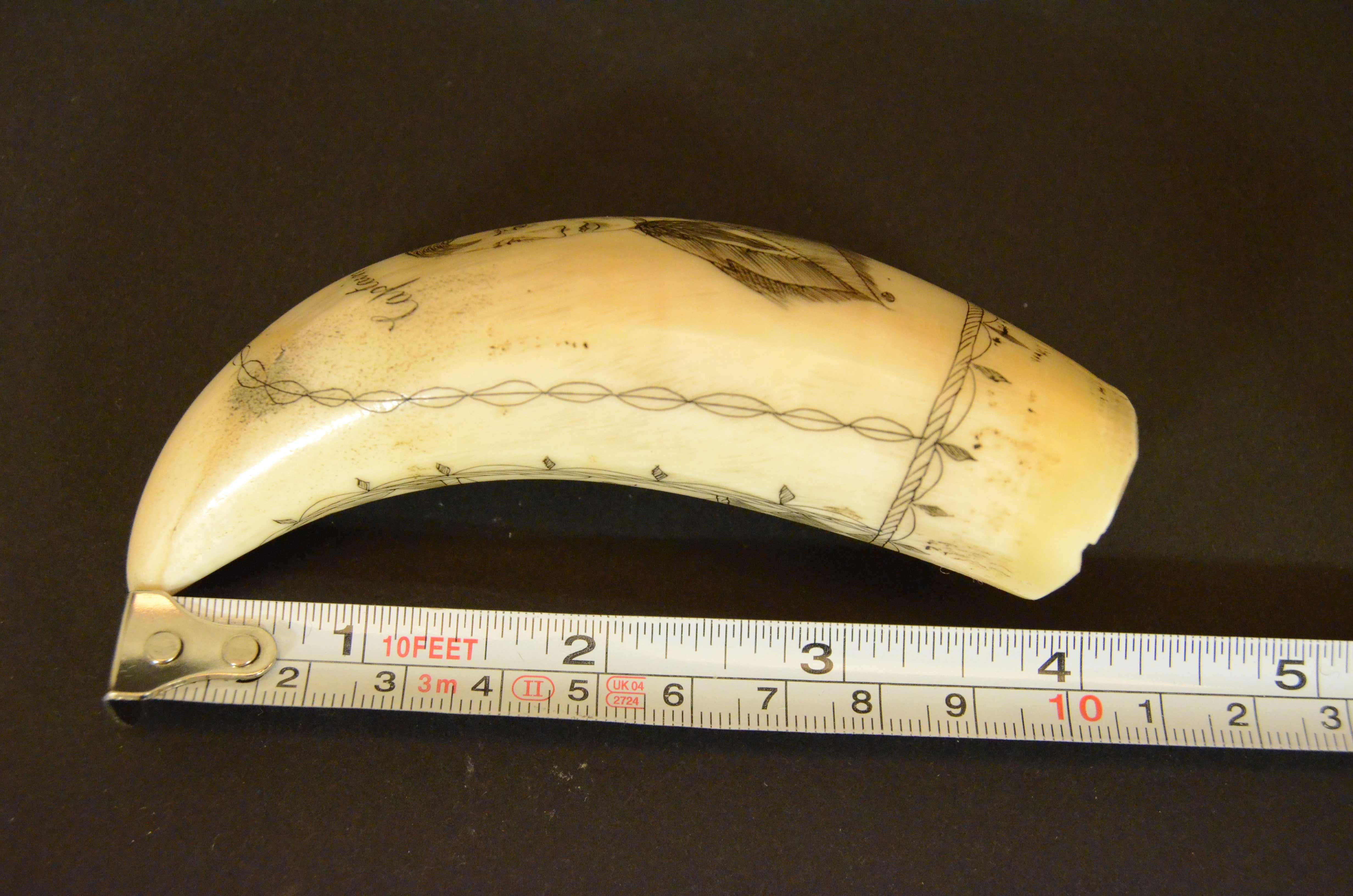 Scrimshaw of engraved whale tooth depicting the  Captain F. Swain 1850 For Sale 7