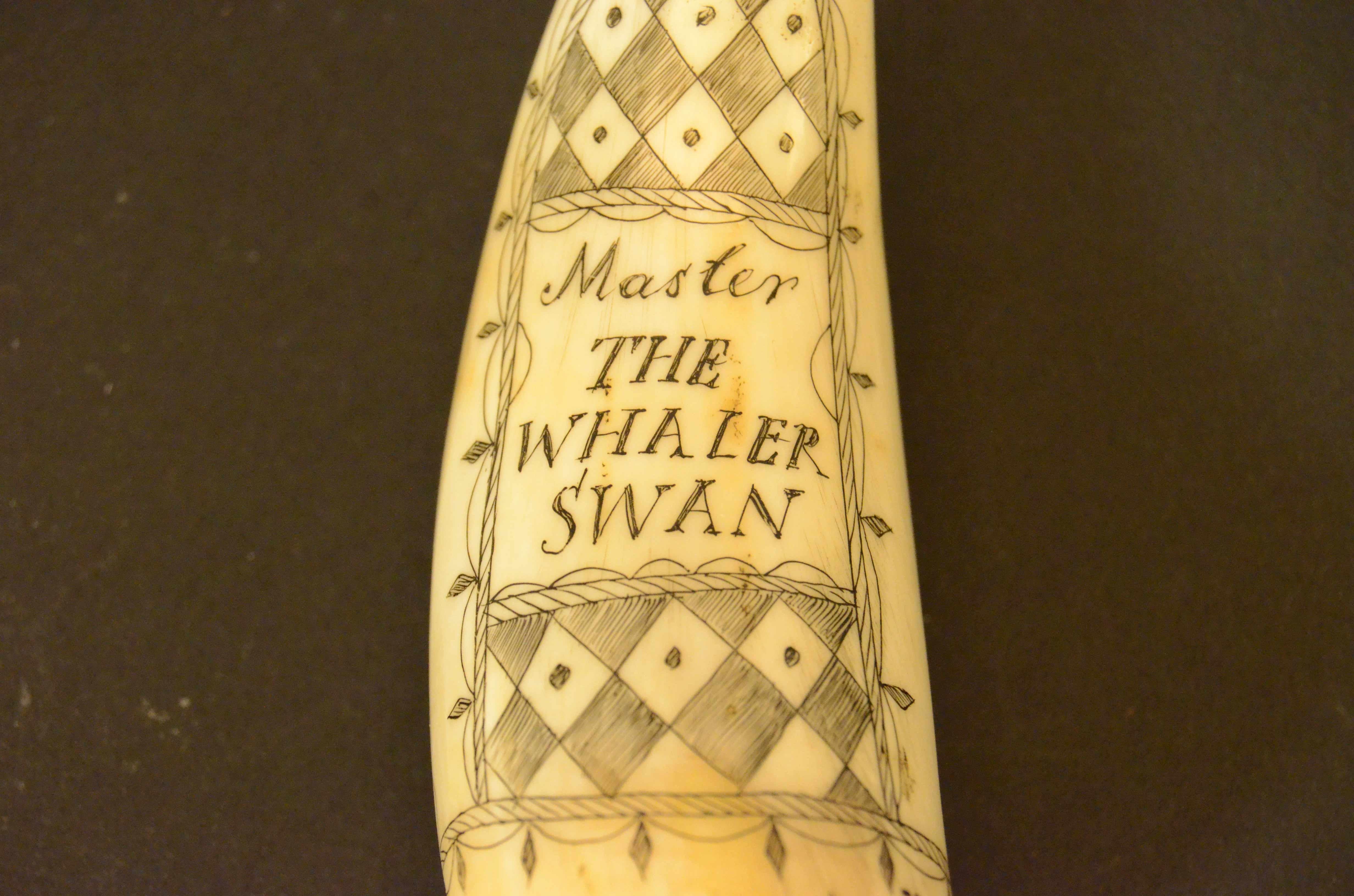 19th Century Scrimshaw of engraved whale tooth depicting the  Captain F. Swain 1850 For Sale