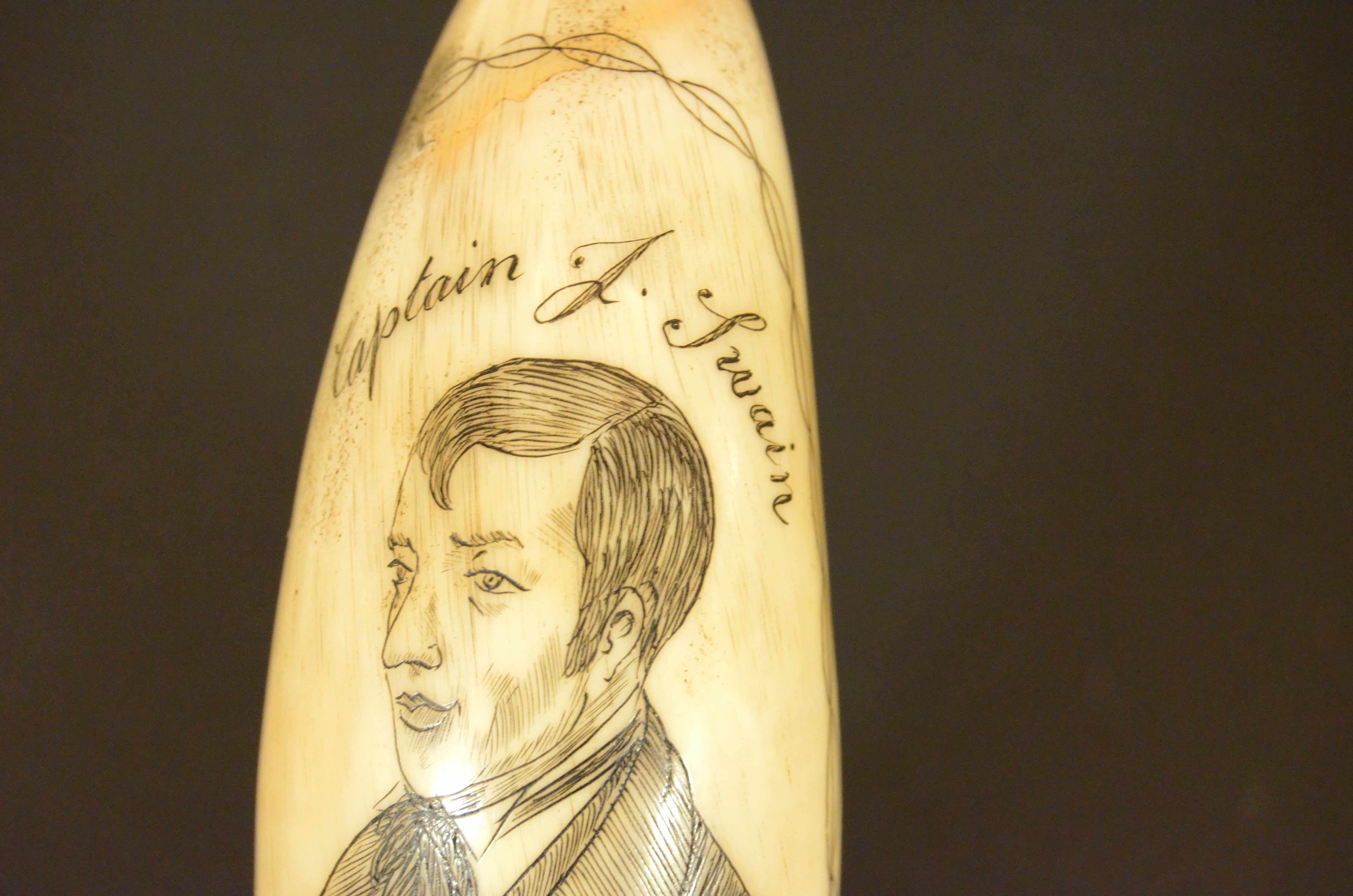 Teeth Scrimshaw of engraved whale tooth depicting the  Captain F. Swain 1850 For Sale