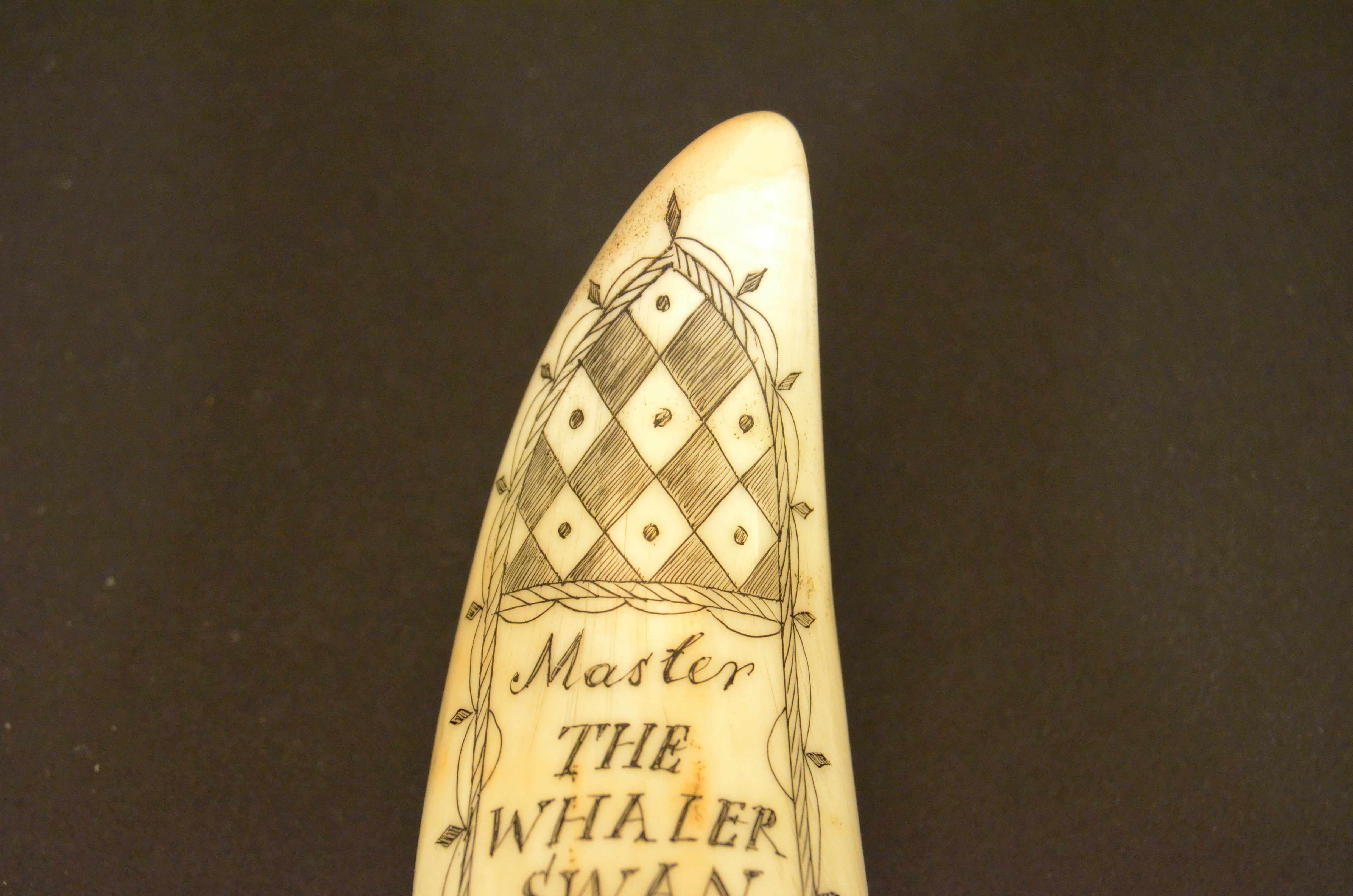 Scrimshaw of engraved whale tooth depicting the  Captain F. Swain 1850 For Sale 2