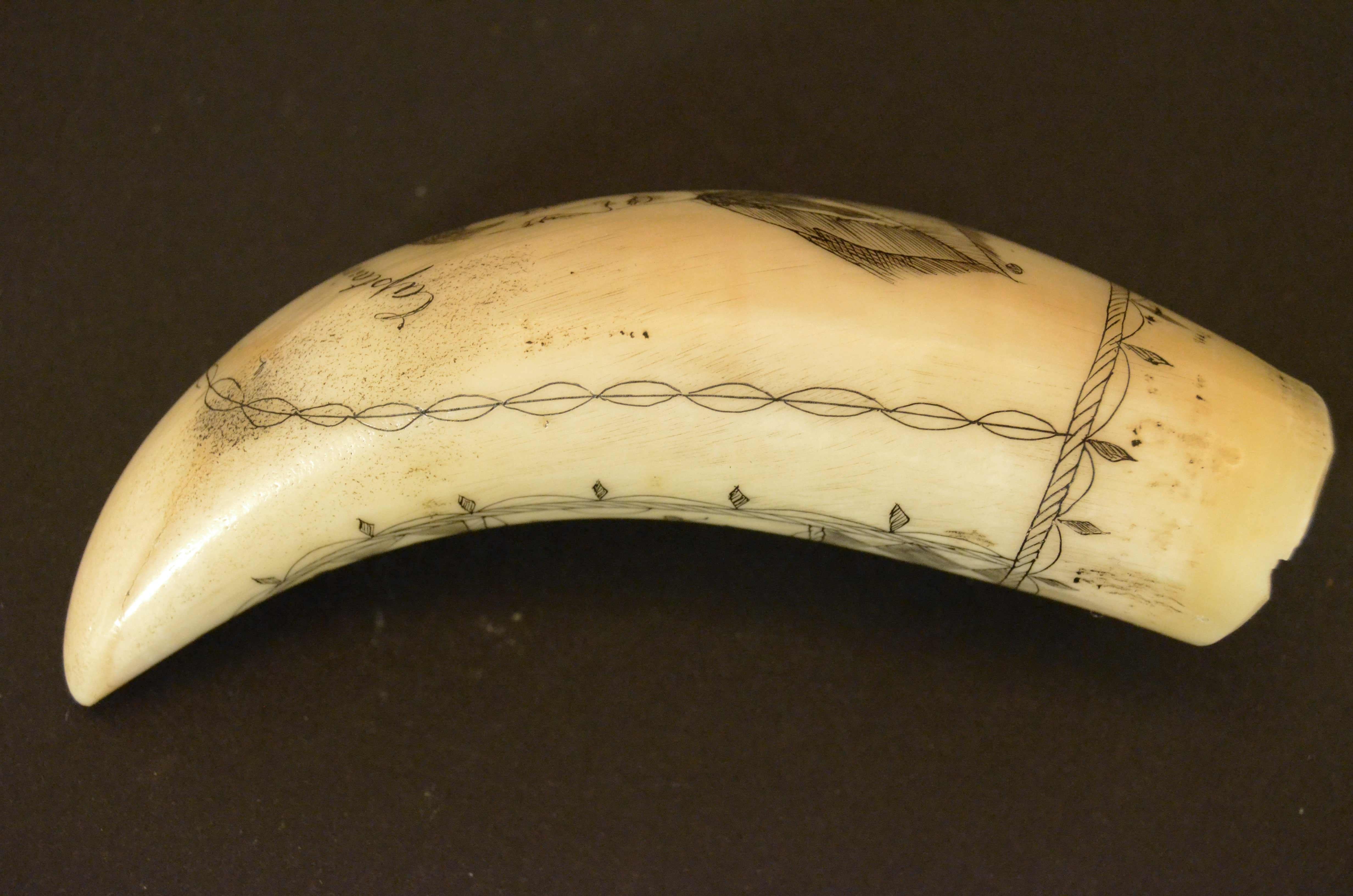 Scrimshaw of engraved whale tooth depicting the  Captain F. Swain 1850 For Sale 4
