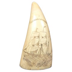 Antique Scrimshaw of vertically engraved whale's tooth of fine workmanship from 1851
