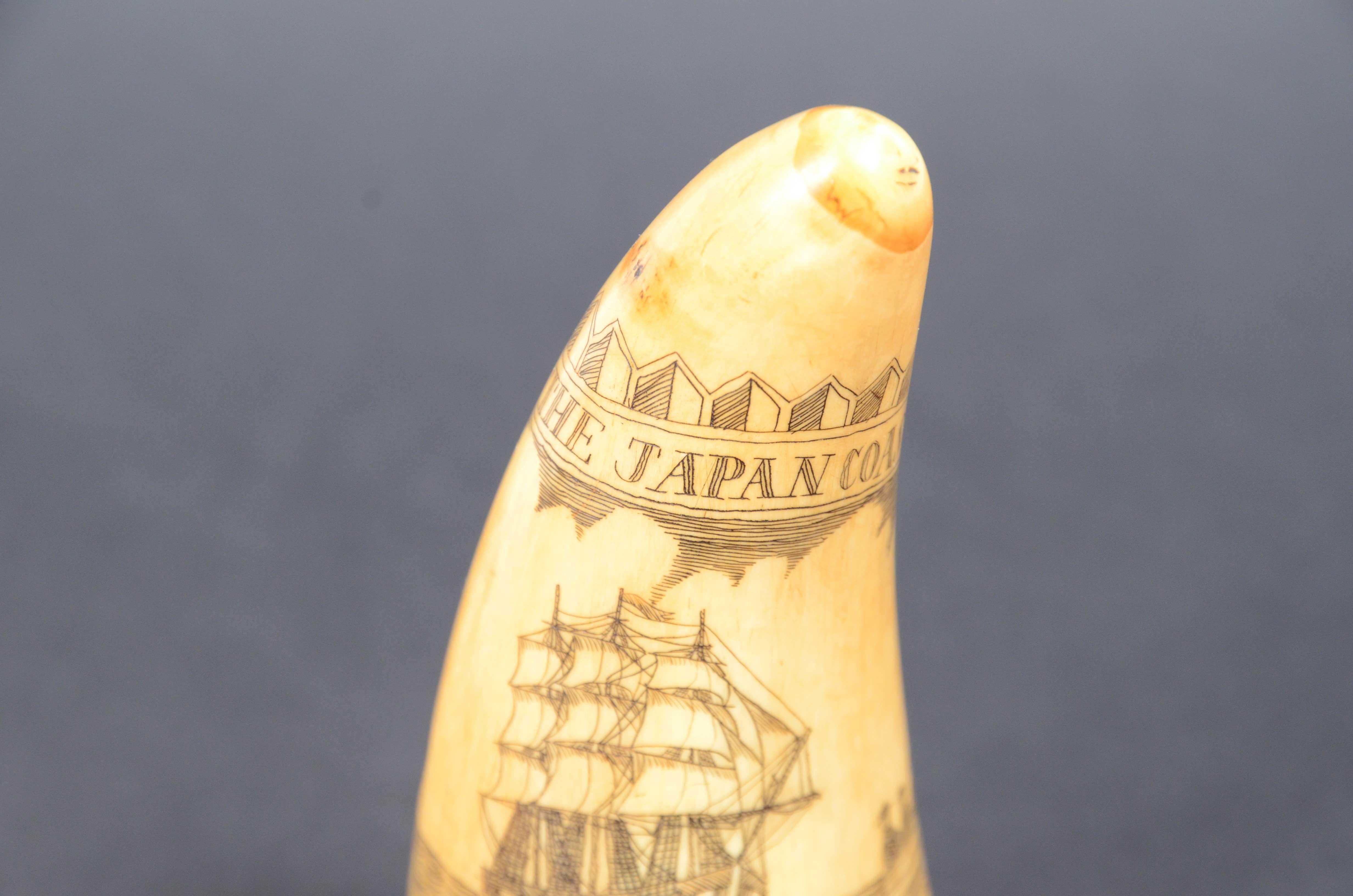 Scrimshaw of vertically engraved whale tooth valuable workmanship dated 1882 For Sale 6
