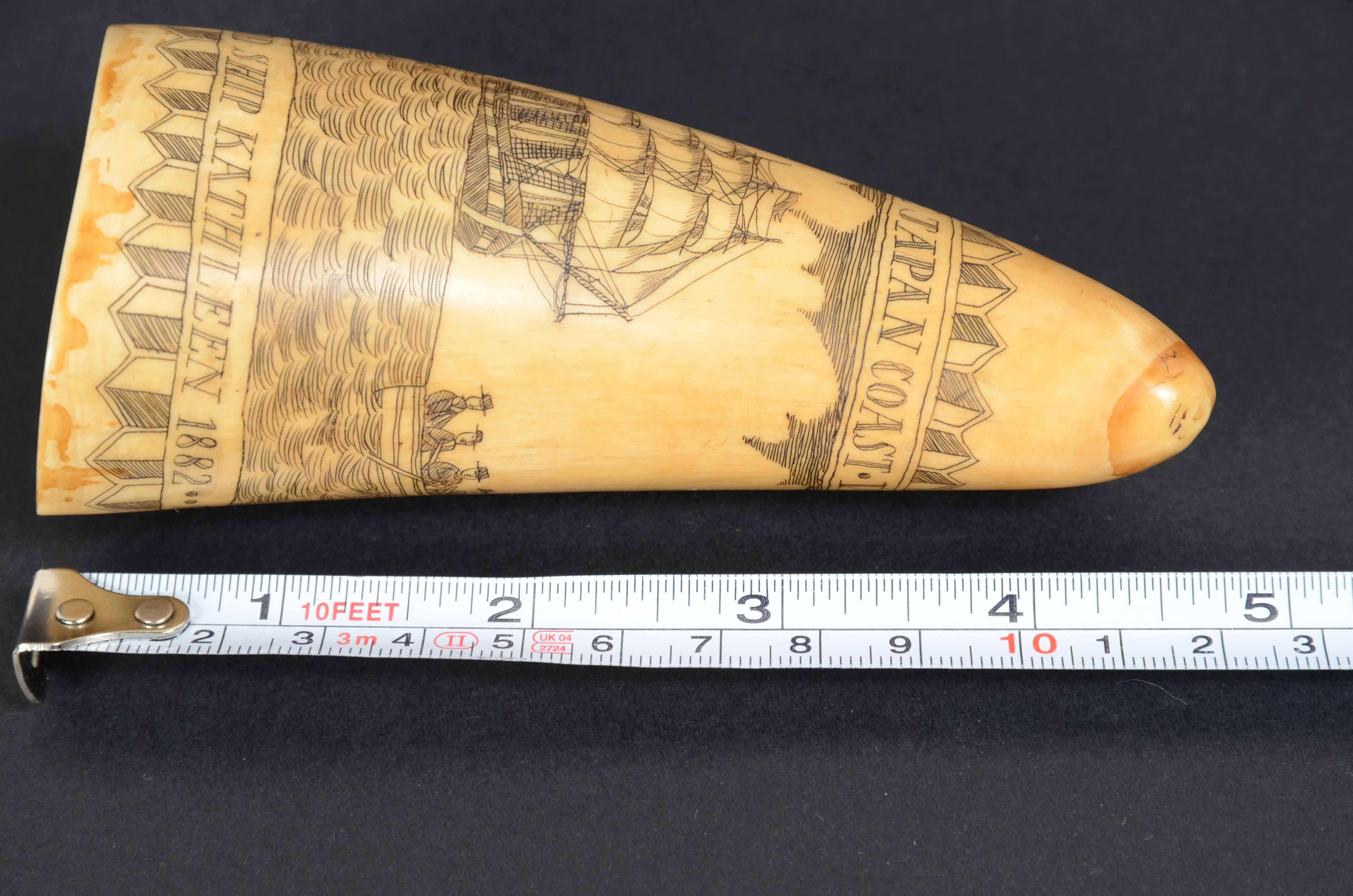 Scrimshaw of vertically engraved whale tooth valuable workmanship dated 1882 For Sale 11
