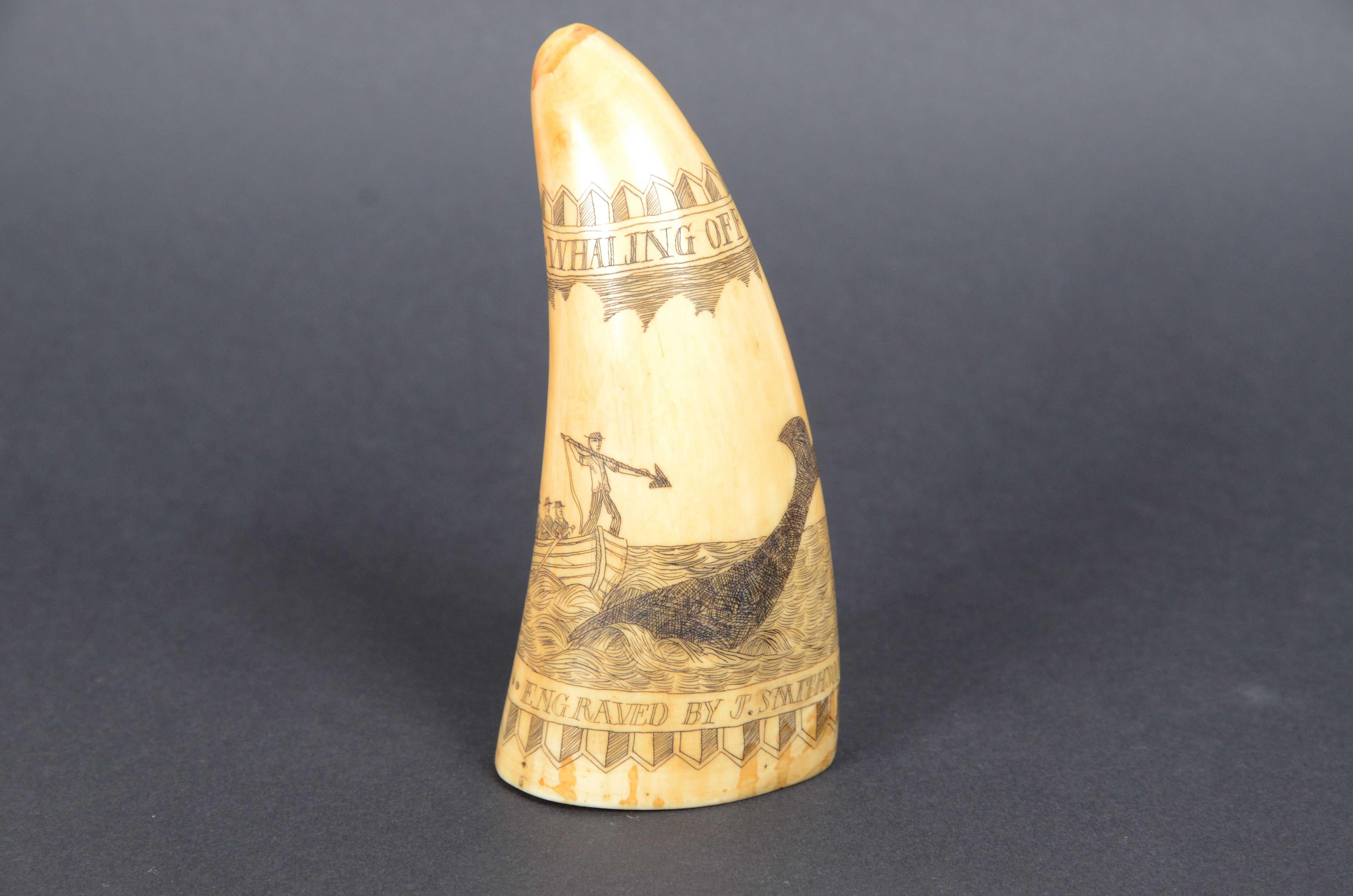 Scrimshaw of a vertically engraved whale tooth, of fine workmanship dated 1882, length 12 cm - inches 4.8. The tooth  depicts: 6 whalers in rowboat trying to harpoon a whale and whaler in the background. 
Top  the tooth bears the following engraved