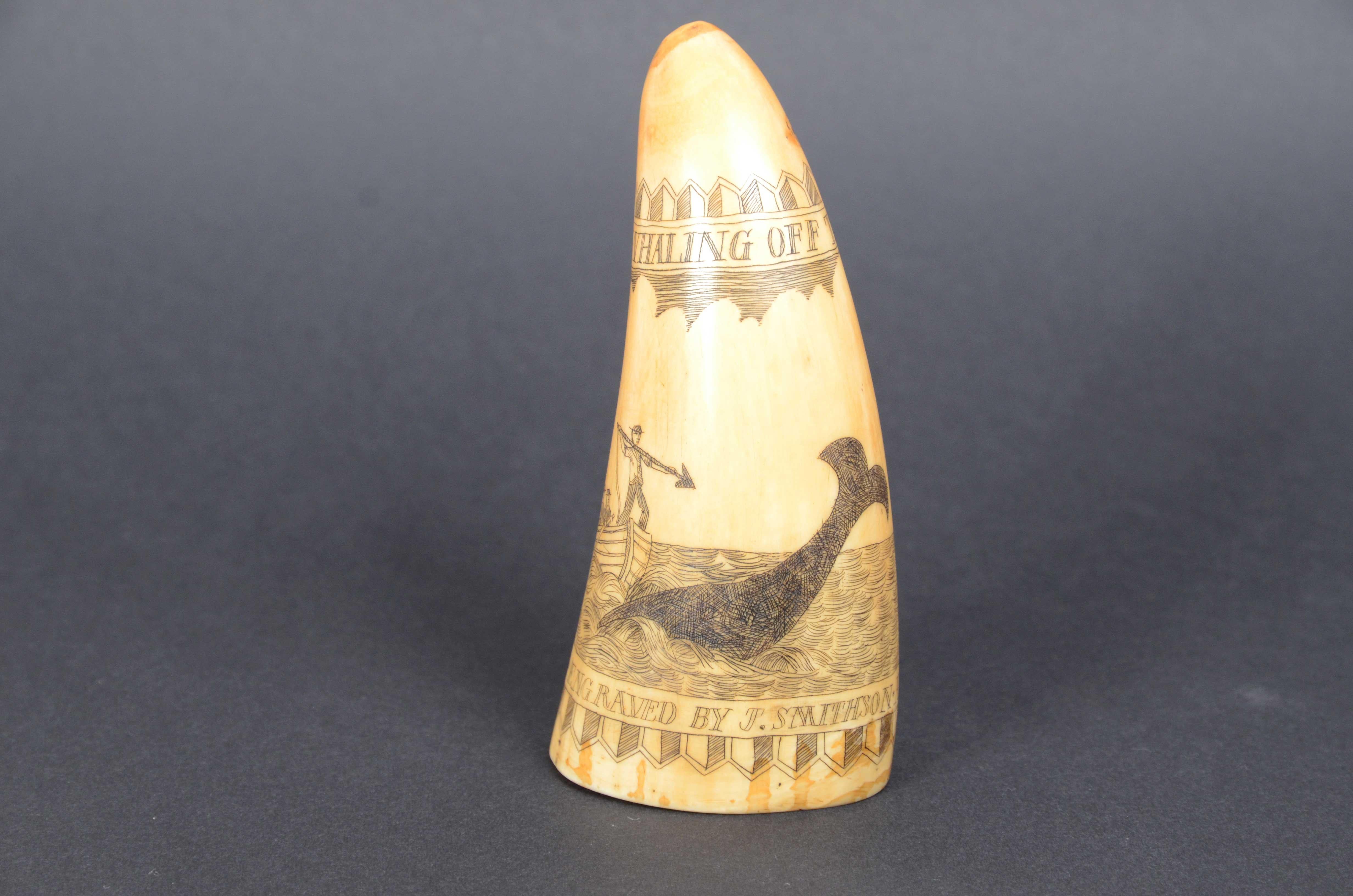 Scrimshaw of vertically engraved whale tooth valuable workmanship dated 1882 In Good Condition For Sale In Milan, IT